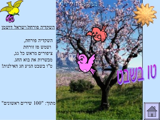 מצגת חינוך מיוחד לטו בשבט