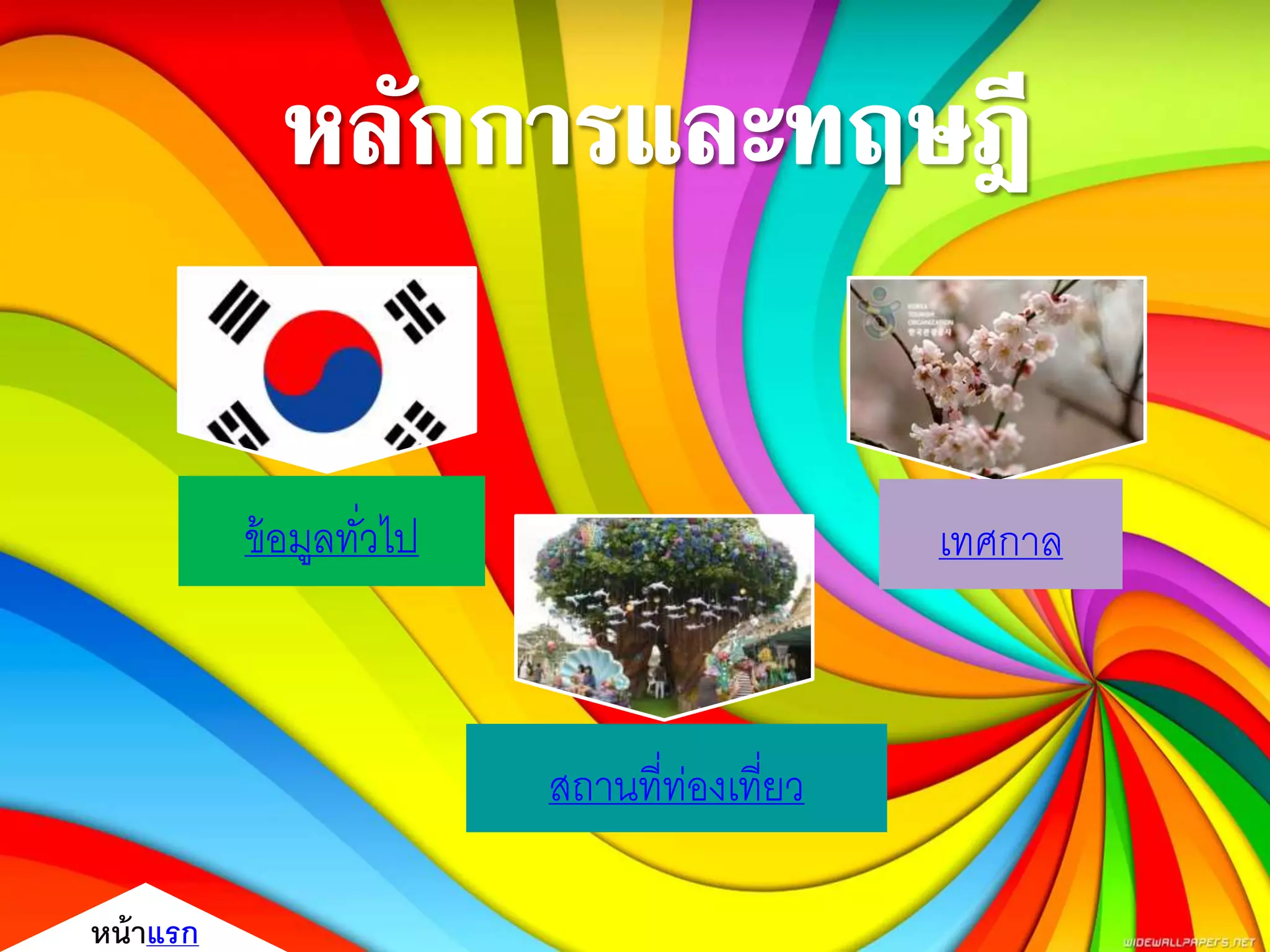 ข้อมูลทั่วไป
สถานที่ท่องเที่ยว
เทศกาล
หน้าแรก
 