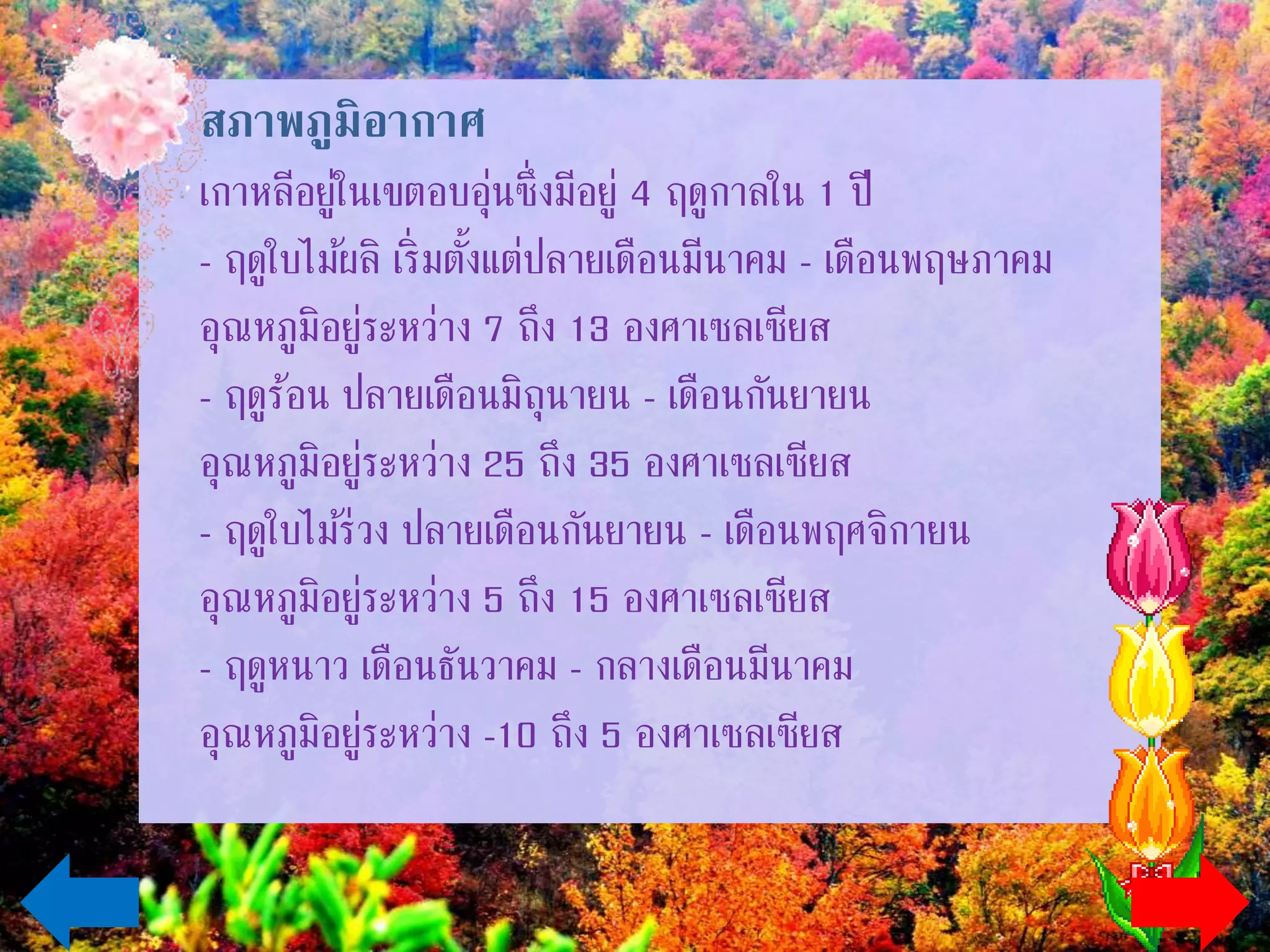 • สภาพภูมิอากาศ
เกาหลีอยู่ในเขตอบอุ่นซึ่งมีอยู่ 4 ฤดูกาลใน 1 ปี
- ฤดูใบไม้ผลิ เริ่มตั้งแต่ปลายเดือนมีนาคม - เดือนพฤษภาคม
อุณหภูมิอยู่ระหว่าง 7 ถึง 13 องศาเซลเซียส
- ฤดูร้อน ปลายเดือนมิถุนายน - เดือนกันยายน
อุณหภูมิอยู่ระหว่าง 25 ถึง 35 องศาเซลเซียส
- ฤดูใบไม้ร่วง ปลายเดือนกันยายน - เดือนพฤศจิกายน
อุณหภูมิอยู่ระหว่าง 5 ถึง 15 องศาเซลเซียส
- ฤดูหนาว เดือนธันวาคม - กลางเดือนมีนาคม
อุณหภูมิอยู่ระหว่าง -10 ถึง 5 องศาเซลเซียส
 