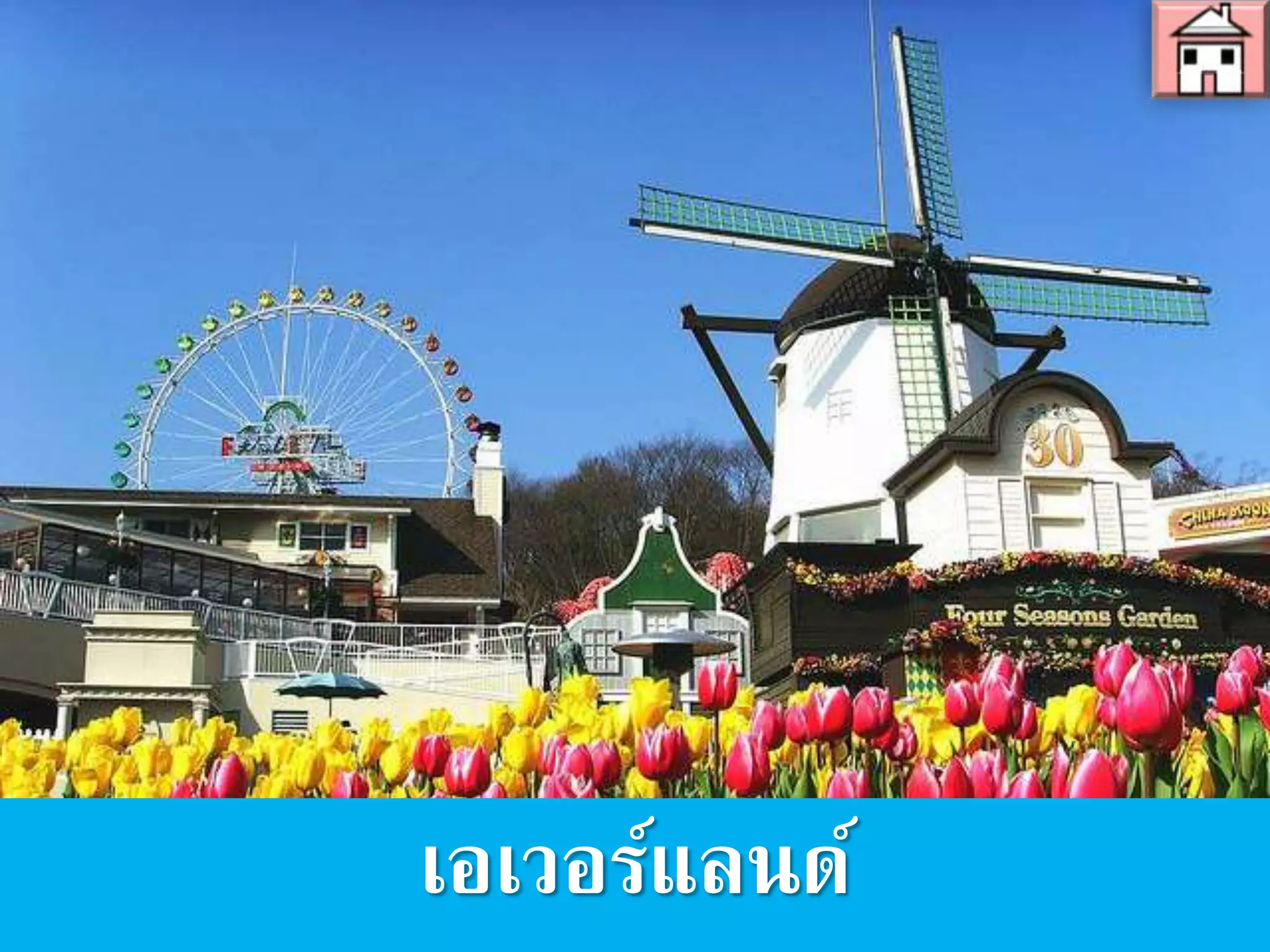 เอเวอร์แลนด์
 