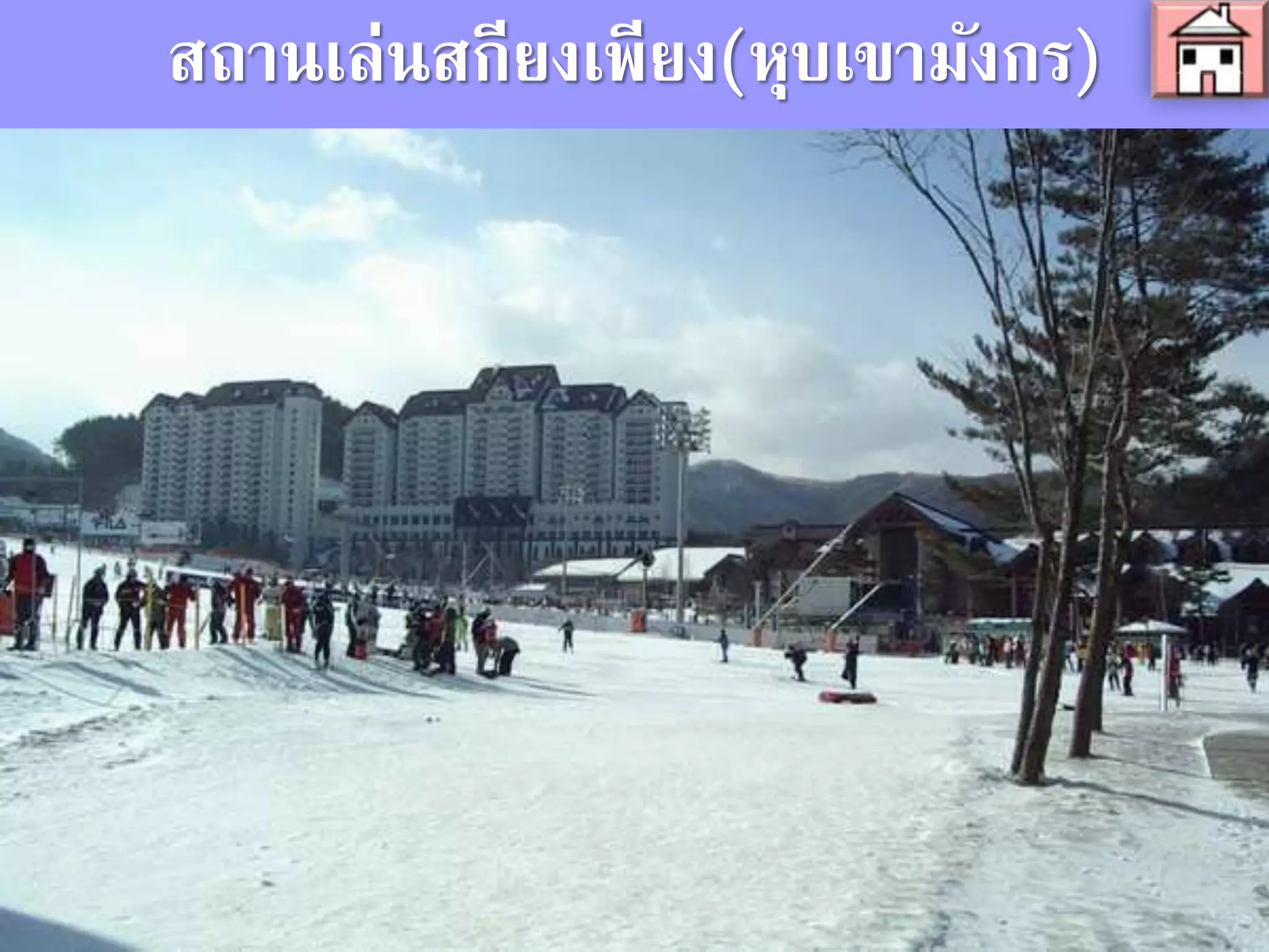 สถานเล่นสกียงเพียง(หุบเขามังกร)
 