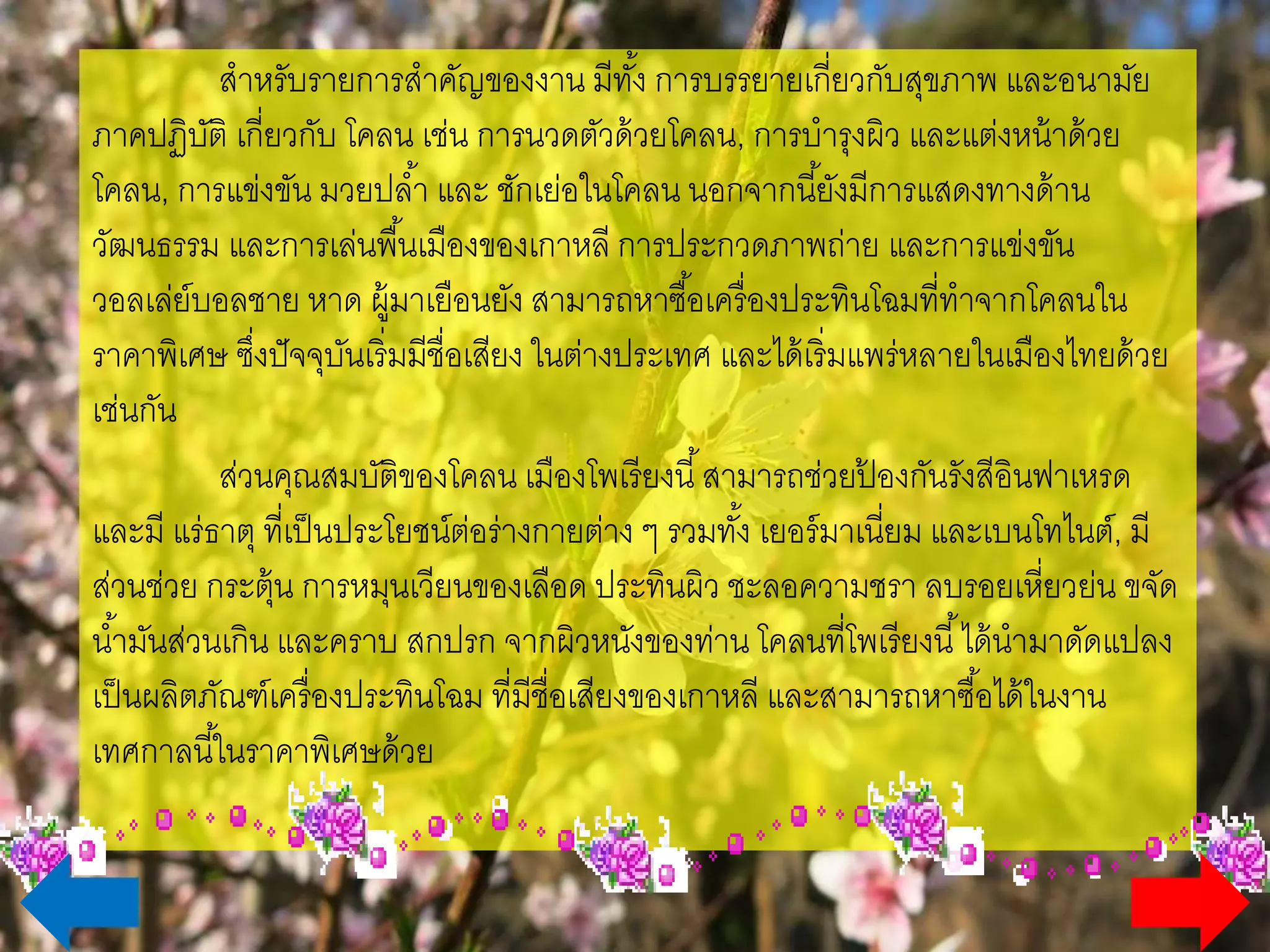 ส่าหรับรายการส่าคัญของงาน มีทั้ง การบรรยายเกี่ยวกับสุขภาพ และ
อนามัย ภาคปฏิบัติ เกี่ยวกับ โคลน เช่น การนวดตัวด้วยโคลน, การบ่ารุงผิว
และแต่งหน้าด้วยโคลน, การแข่งขัน มวยปล่้า และ ชักเย่อในโคลน นอกจากนี้
ยังมีการแสดงทางด้านวัฒนธรรม และการเล่นพื้นเมืองของเกาหลี การประกวด
ภาพถ่าย และการแข่งขันวอลเล่ย์บอลชาย หาด ผู้มาเยือนยัง สามารถหาซื้อ
เครื่องประทินโฉมที่ท่าจากโคลนในราคาพิเศษ ซึ่งปัจจุบันเริ่มมีชื่อเสียง ใน
ต่างประเทศ และได้เริ่มแพร่หลายในเมืองไทยด้วยเช่นกัน
ส่วนคุณสมบัติของโคลน เมืองโพเรียงนี้ สามารถช่วยป้องกันรังสีอินฟา
เหรด และมี แร่ธาตุ ที่เป็นประโยชน์ต่อร่างกายต่าง ๆ รวมทั้ง เยอร์มาเนี่ยม
และเบนโทไนต์, มีส่วนช่วย กระตุ้น การหมุนเวียนของเลือด ประทินผิว ชะลอ
ความชรา ลบรอยเหี่ยวย่น ขจัดน่้ามันส่วนเกิน และคราบ สกปรก จากผิวหนัง
ของท่าน โคลนที่โพเรียงนี้ ได้น่ามาดัดแปลงเป็นผลิตภัณฑ์เครื่องประทินโฉม
ที่มีชื่อเสียงของเกาหลี และสามารถหาซื้อได้ในงานเทศกาลนี้ในราคาพิเศษด้วย
 