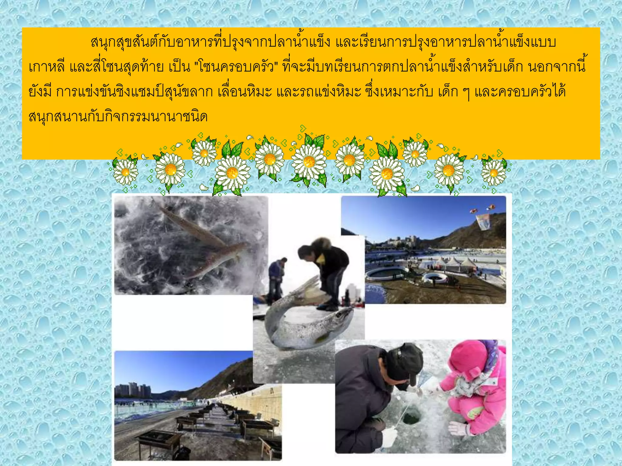 สนุกสุขสันต์กับอาหารที่ปรุงจากปลาน่้าแข็ง และเรียนการปรุงอาหารปลาน่้าแข็ง
แบบเกาหลี และสี่โซนสุดท้าย เป็น "โซนครอบครัว" ที่จะมีบทเรียนการตกปลาน่้าแข็ง
ส่าหรับเด็ก นอกจากนี้ยังมี การแข่งขันชิงแชมป์สุนัขลาก เลื่อนหิมะ และรถแข่งหิมะ ซึ่งเหมาะ
กับ เด็ก ๆ และครอบครัวได้สนุกสนานกับกิจกรรมนานาชนิด
 