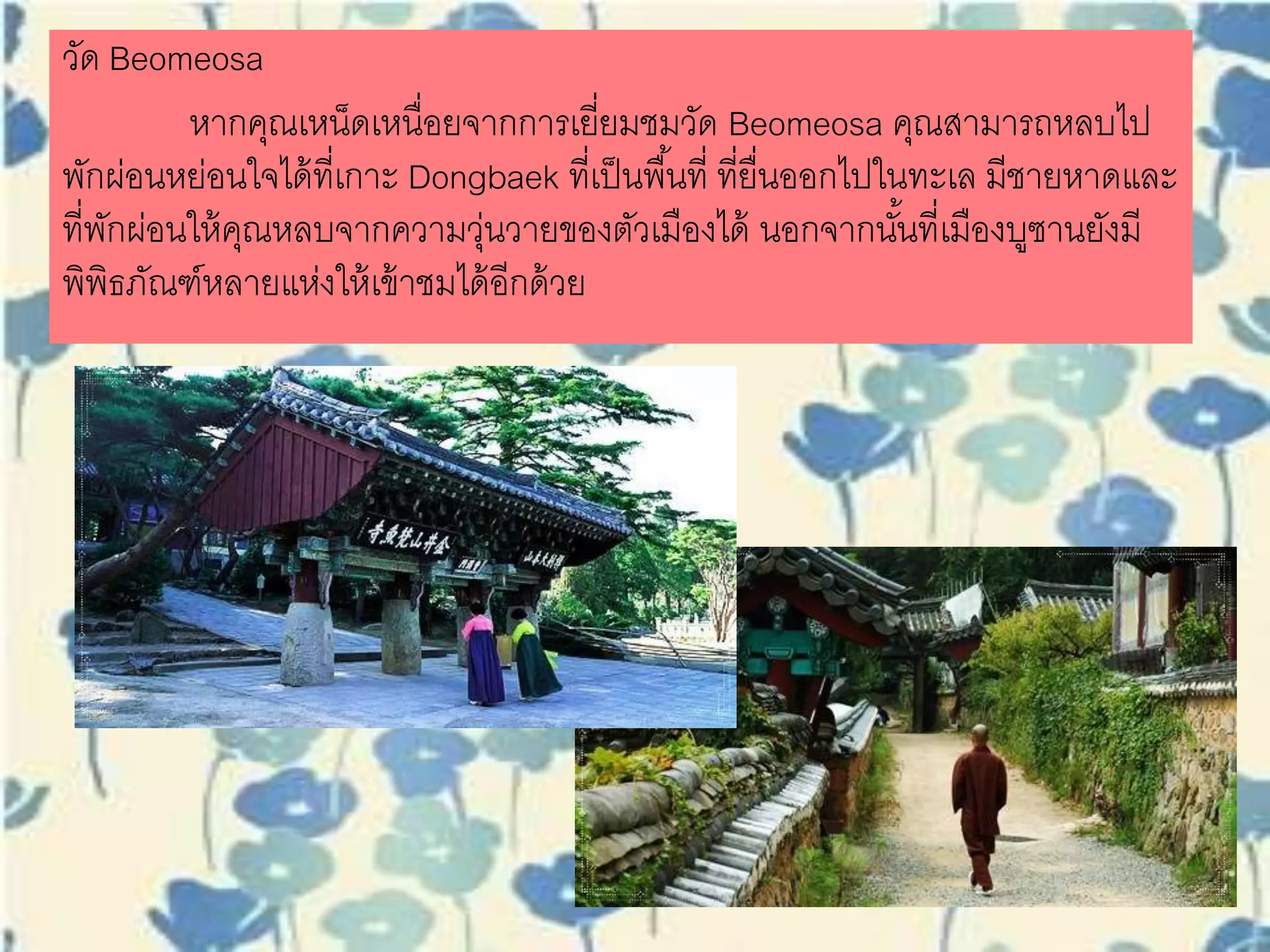 วัด Beomeosa
หากคุณเหน็ดเหนื่อยจากการเยี่ยมชมวัด Beomeosa คุณสามารถ
หลบไปพักผ่อนหย่อนใจได้ที่เกาะ Dongbaek ที่เป็นพื้นที่ ที่ยื่นออกไปใน
ทะเล มีชายหาดและที่พักผ่อนให้คุณหลบจากความวุ่นวายของตัวเมืองได้
นอกจากนั้นที่เมืองบูซานยังมีพิพิธภัณฑ์หลายแห่งให้เข้าชมได้อีกด้วย
 