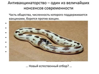 Антивакцинаторство – один из величайших
нонсенсов современности
Часть общества, численность которого поддерживается
вакцинами, борется против вакцин.
• Натурологи
• Сектанты
• Гомеопаты
• Фитотерапевты
• Маги и колдуны
• Экстрасенсы
• Телепаты
… Новый естественный отбор? …
 