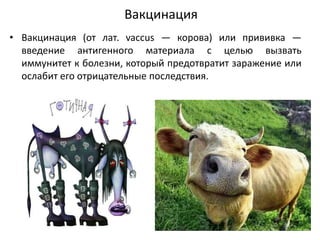 Вакцинация
• Вакцинация (от лат. vaccus — корова) или прививка —
введение антигенного материала с целью вызвать
иммунитет к болезни, который предотвратит заражение или
ослабит его отрицательные последствия.
 