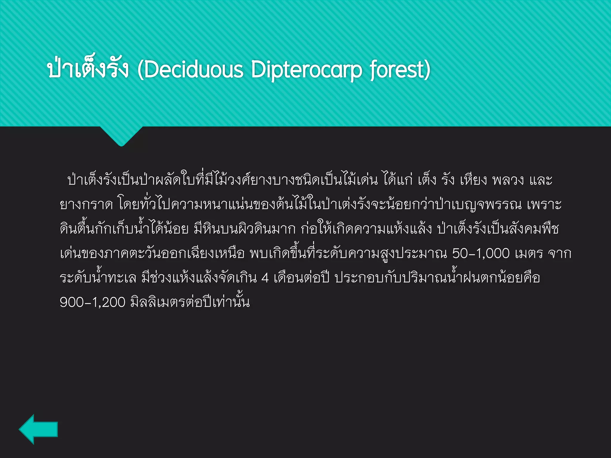 ป่าเต็งรัง (Deciduous Dipterocarp forest)
ป่าเต็งรังเป็นป่าผลัดใบที่มีไม้วงศ์ยางบางชนิดเป็นไม้เด่น ได้แก่ เต็ง รัง เหียง พลวง และ
ยางกราด โดยทั่วไปความหนาแน่นของต้นไม้ในป่าเต่งรังจะน้อยกว่าป่าเบญจพรรณ เพราะ
ดินตื้นกักเก็บน้าได้น้อย มีหินบนผิวดินมาก ก่อให้เกิดความแห้งแล้ง ป่าเต็งรังเป็นสังคมพืช
เด่นของภาคตะวันออกเฉียงเหนือ พบเกิดขึ้นที่ระดับความสูงประมาณ 50-1,000 เมตร จาก
ระดับน้าทะเล มีช่วงแห้งแล้งจัดเกิน 4 เดือนต่อปี ประกอบกับปริมาณน้าฝนตกน้อยคือ
900-1,200 มิลลิเมตรต่อปีเท่านั้น
 