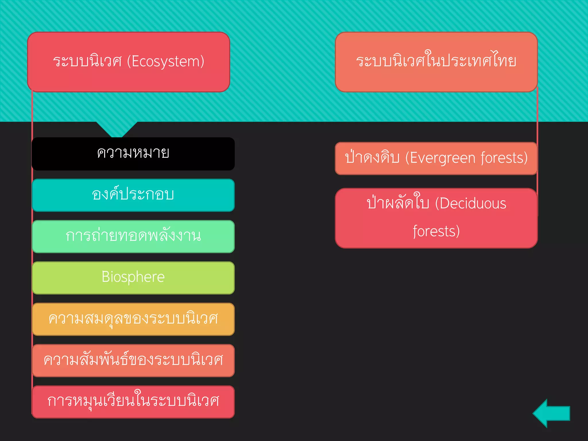 ระบบนิเวศ (Ecosystem) ระบบนิเวศในประเทศไทย
ความหมาย
องค์ประกอบ
การถ่ายทอดพลังงาน
Biosphere
ความสมดุลของระบบนิเวศ
ความสัมพันธ์ของระบบนิเวศ
ป่าดงดิบ (Evergreen forests)
ป่าผลัดใบ (Deciduous
forests)
การหมุนเวียนในระบบนิเวศ
 