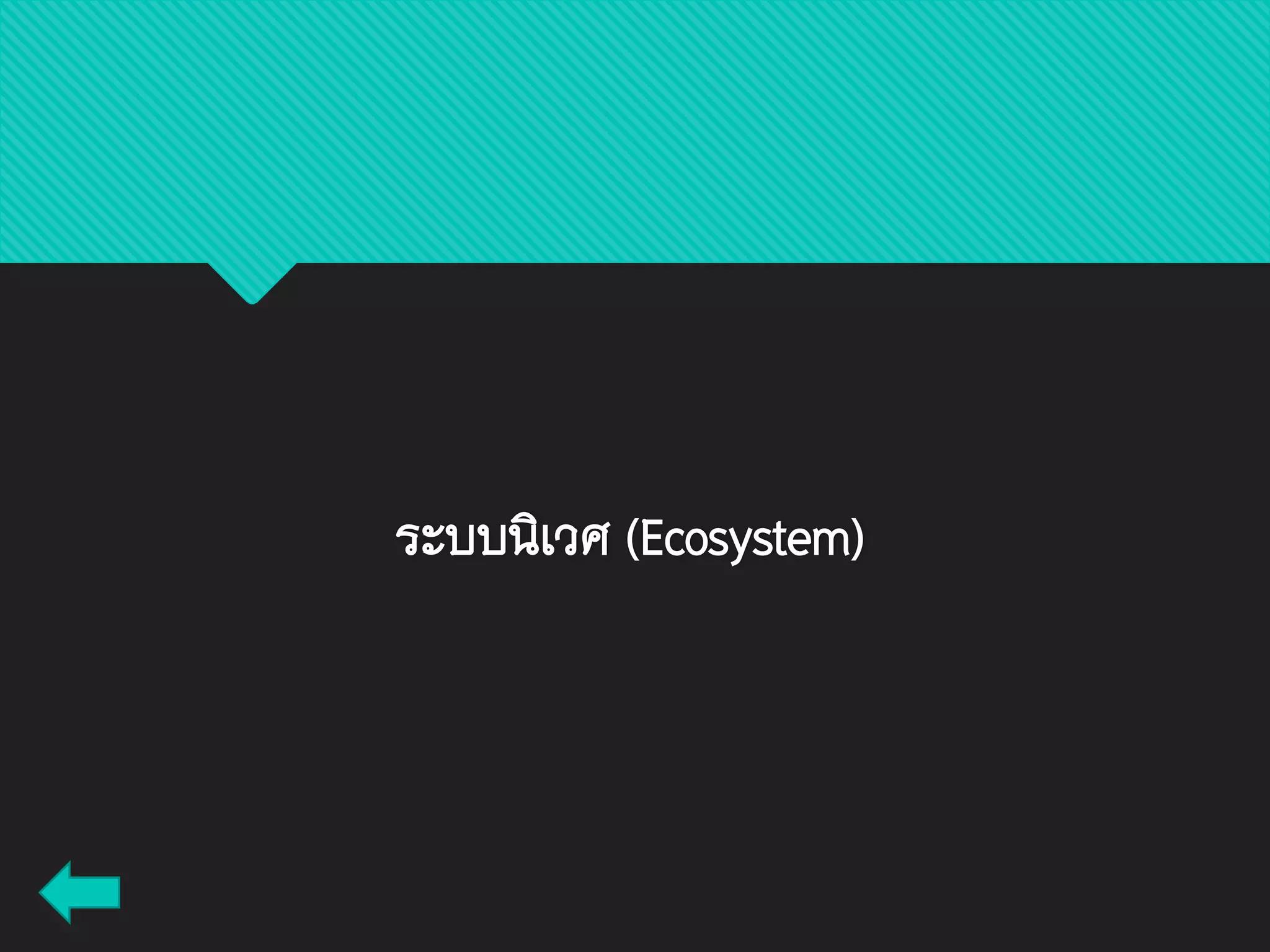 ระบบนิเวศ (Ecosystem)
 