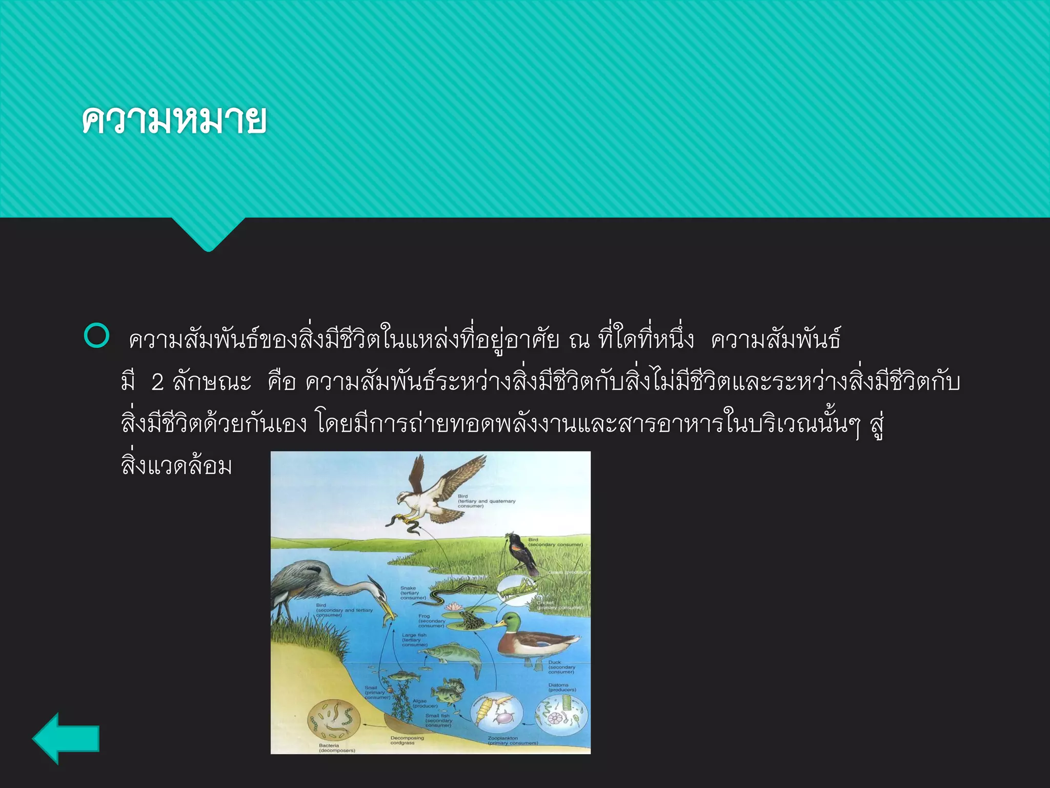 ความหมาย
 ความสัมพันธ์ของสิ่งมีชีวิตในแหล่งที่อยู่อาศัย ณ ที่ใดที่หนึ่ง ความสัมพันธ์
มี 2 ลักษณะ คือ ความสัมพันธ์ระหว่างสิ่งมีชีวิตกับสิ่งไม่มีชีวิตและระหว่างสิ่งมีชีวิตกับ
สิ่งมีชีวิตด้วยกันเอง โดยมีการถ่ายทอดพลังงานและสารอาหารในบริเวณนั้นๆ สู่
สิ่งแวดล้อม
 