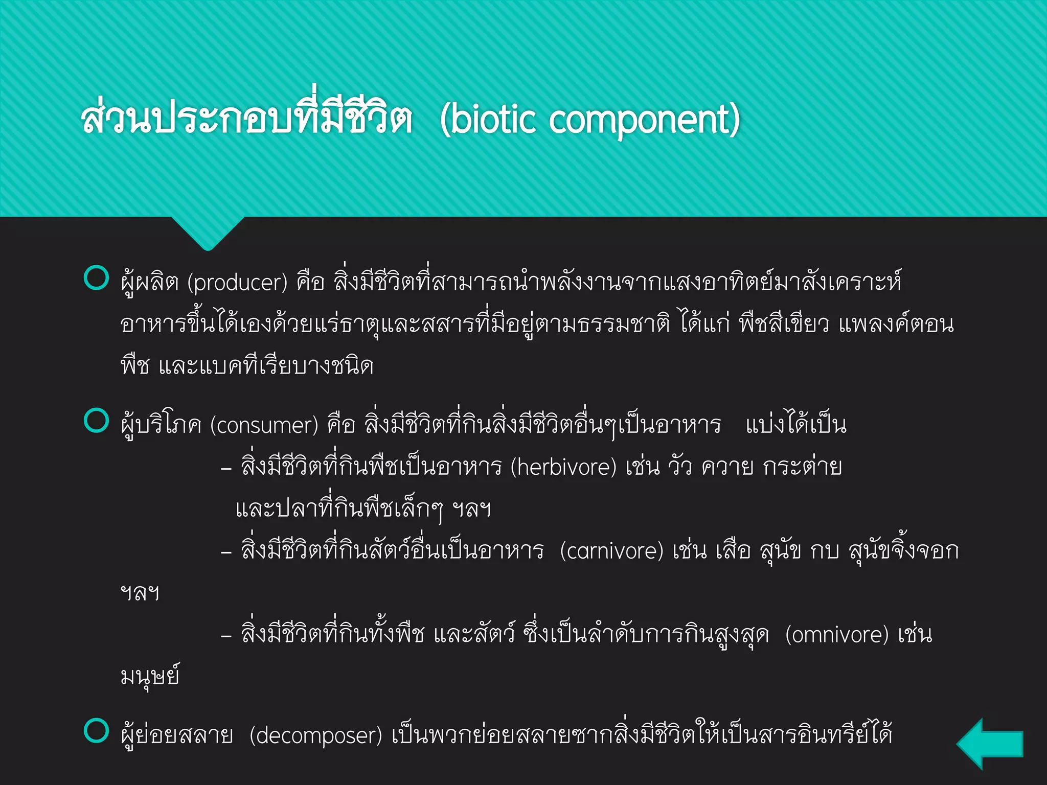 ส่วนประกอบที่มีชีวิต (biotic component)
 ผู้ผลิต (producer) คือ สิ่งมีชีวิตที่สามารถนาพลังงานจากแสงอาทิตย์มาสังเคราะห์
อาหารขึ้นได้เองด้วยแร่ธาตุและสสารที่มีอยู่ตามธรรมชาติ ได้แก่ พืชสีเขียว แพลงค์ตอน
พืช และแบคทีเรียบางชนิด
 ผู้บริโภค (consumer) คือ สิ่งมีชีวิตที่กินสิ่งมีชีวิตอื่นๆเป็นอาหาร แบ่งได้เป็น
- สิ่งมีชีวิตที่กินพืชเป็นอาหาร (herbivore) เช่น วัว ควาย กระต่าย
และปลาที่กินพืชเล็กๆ ฯลฯ
- สิ่งมีชีวิตที่กินสัตว์อื่นเป็นอาหาร (carnivore) เช่น เสือ สุนัข กบ สุนัขจิ้งจอก
ฯลฯ
- สิ่งมีชีวิตที่กินทั้งพืช และสัตว์ ซึ่งเป็นลาดับการกินสูงสุด (omnivore) เช่น
มนุษย์
 ผู้ย่อยสลาย (decomposer) เป็นพวกย่อยสลายซากสิ่งมีชีวิตให้เป็นสารอินทรีย์ได้
 