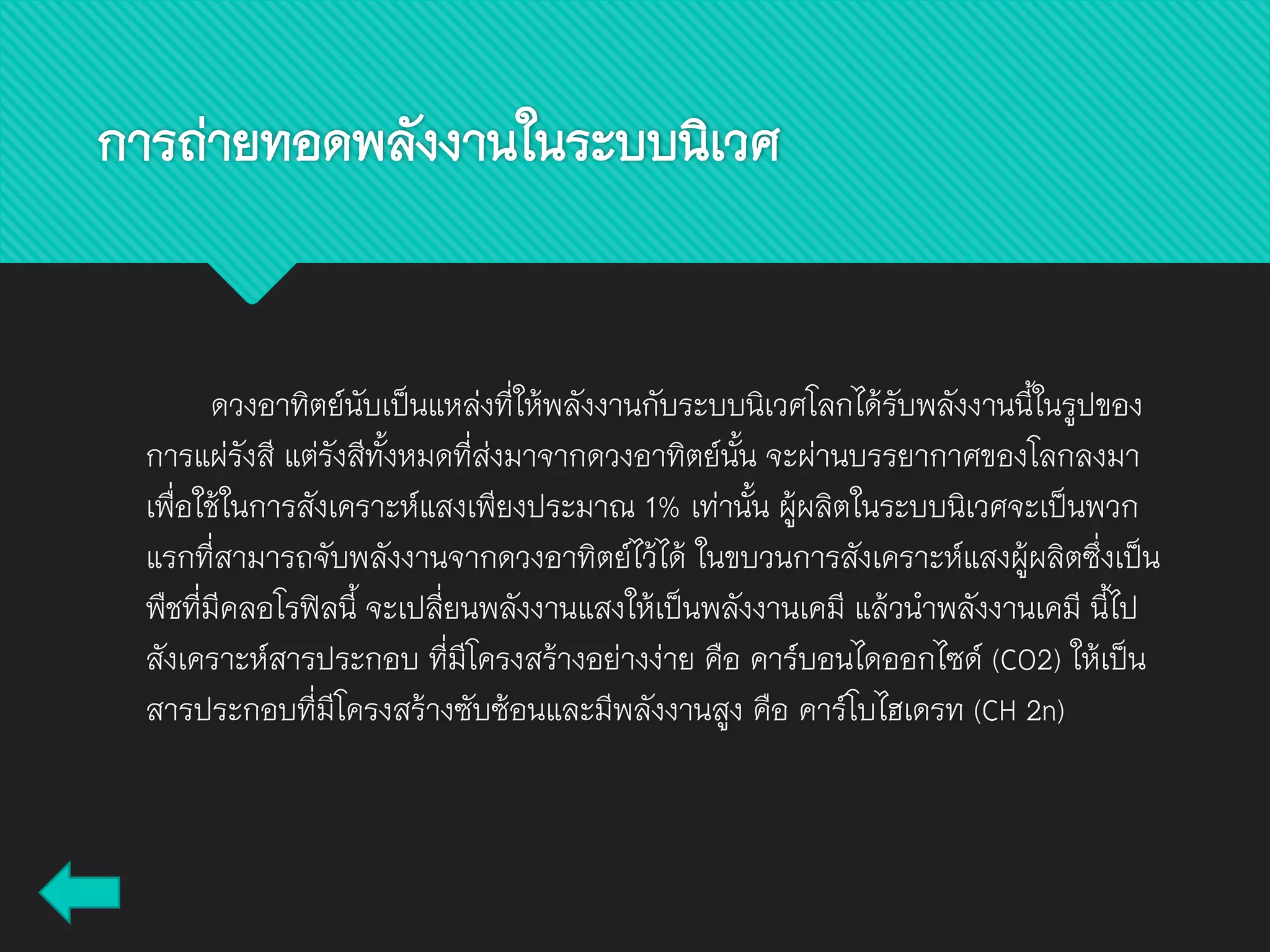 การถ่ายทอดพลังงานในระบบนิเวศ
ดวงอาทิตย์นับเป็นแหล่งที่ให้พลังงานกับระบบนิเวศโลกได้รับพลังงานนี้ในรูปของ
การแผ่รังสี แต่รังสีทั้งหมดที่ส่งมาจากดวงอาทิตย์นั้น จะผ่านบรรยากาศของโลกลงมา
เพื่อใช้ในการสังเคราะห์แสงเพียงประมาณ 1% เท่านั้น ผู้ผลิตในระบบนิเวศจะเป็นพวก
แรกที่สามารถจับพลังงานจากดวงอาทิตย์ไว้ได้ ในขบวนการสังเคราะห์แสงผู้ผลิตซึ่งเป็น
พืชที่มีคลอโรฟิลนี้ จะเปลี่ยนพลังงานแสงให้เป็นพลังงานเคมี แล้วนาพลังงานเคมี นี้ไป
สังเคราะห์สารประกอบ ที่มีโครงสร้างอย่างง่าย คือ คาร์บอนไดออกไซด์ (CO2) ให้เป็น
สารประกอบที่มีโครงสร้างซับซ้อนและมีพลังงานสูง คือ คาร์โบไฮเดรท (CH 2n)
 