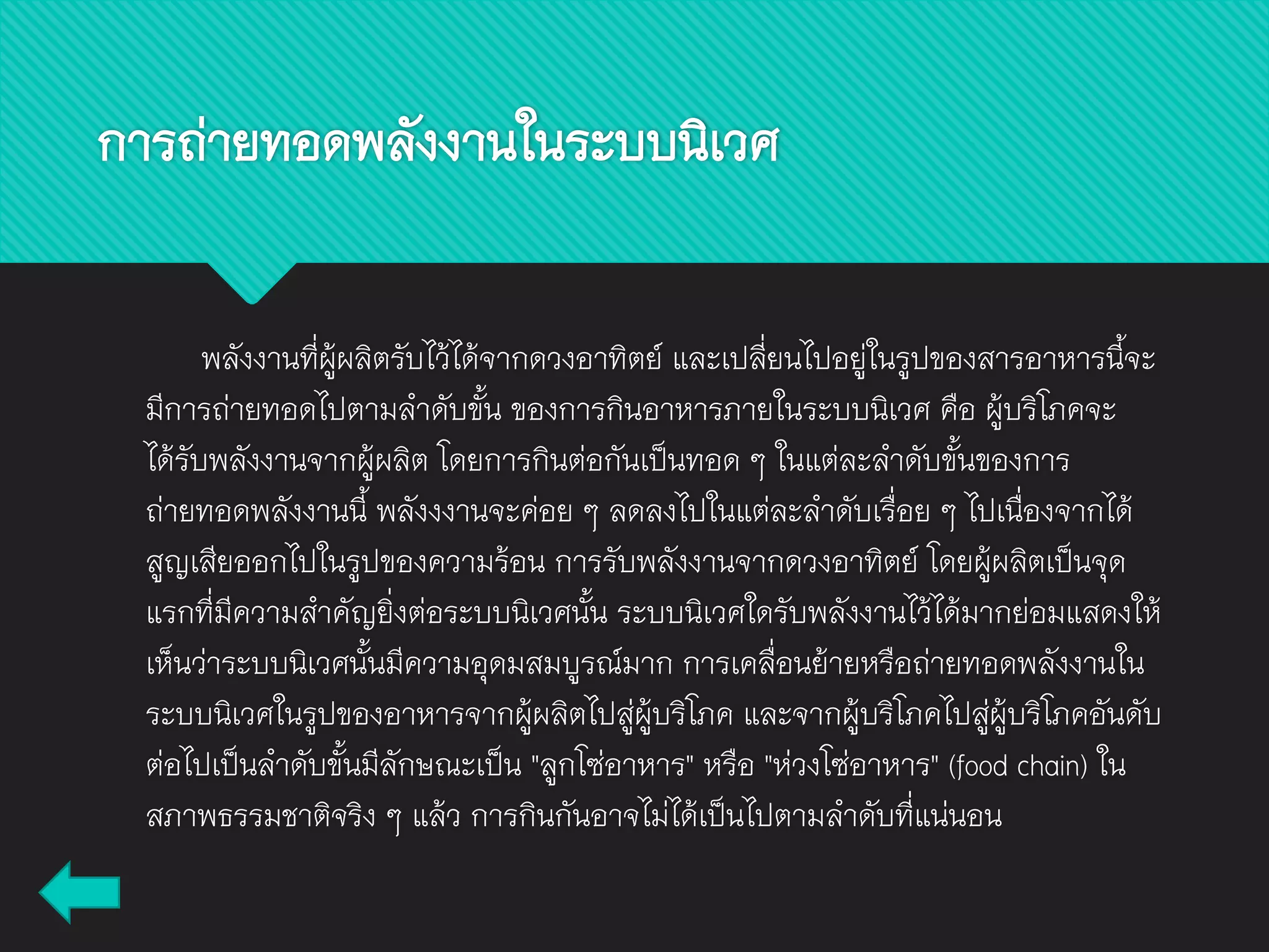 พลังงานที่ผู้ผลิตรับไว้ได้จากดวงอาทิตย์ และเปลี่ยนไปอยู่ในรูปของสารอาหารนี้จะ
มีการถ่ายทอดไปตามลาดับขั้น ของการกินอาหารภายในระบบนิเวศ คือ ผู้บริโภคจะ
ได้รับพลังงานจากผู้ผลิต โดยการกินต่อกันเป็นทอด ๆ ในแต่ละลาดับขั้นของการ
ถ่ายทอดพลังงานนี้ พลังงงานจะค่อย ๆ ลดลงไปในแต่ละลาดับเรื่อย ๆ ไปเนื่องจากได้
สูญเสียออกไปในรูปของความร้อน การรับพลังงานจากดวงอาทิตย์ โดยผู้ผลิตเป็นจุด
แรกที่มีความสาคัญยิ่งต่อระบบนิเวศนั้น ระบบนิเวศใดรับพลังงานไว้ได้มากย่อมแสดงให้
เห็นว่าระบบนิเวศนั้นมีความอุดมสมบูรณ์มาก การเคลื่อนย้ายหรือถ่ายทอดพลังงานใน
ระบบนิเวศในรูปของอาหารจากผู้ผลิตไปสู่ผู้บริโภค และจากผู้บริโภคไปสู่ผู้บริโภคอันดับ
ต่อไปเป็นลาดับขั้นมีลักษณะเป็น "ลูกโซ่อาหาร" หรือ "ห่วงโซ่อาหาร" (food chain) ใน
สภาพธรรมชาติจริง ๆ แล้ว การกินกันอาจไม่ได้เป็นไปตามลาดับที่แน่นอน
การถ่ายทอดพลังงานในระบบนิเวศ
 