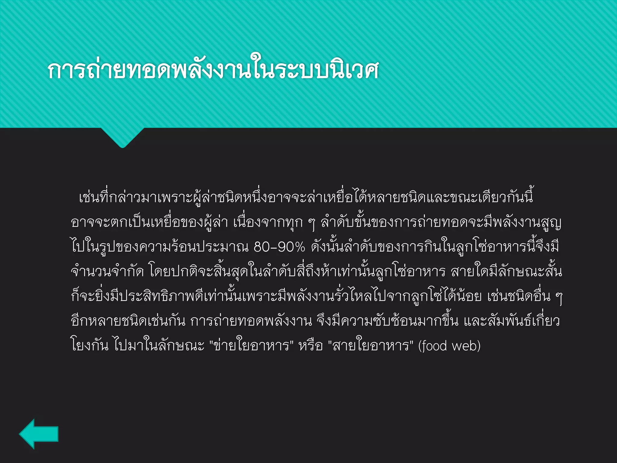 เช่นที่กล่าวมาเพราะผู้ล่าชนิดหนึ่งอาจจะล่าเหยื่อได้หลายชนิดและขณะเดียวกันนี้
อาจจะตกเป็นเหยื่อของผู้ล่า เนื่องจากทุก ๆ ลาดับขั้นของการถ่ายทอดจะมีพลังงานสูญ
ไปในรูปของความร้อนประมาณ 80-90% ดังนั้นลาดับของการกินในลูกโซ่อาหารนี้จึงมี
จานวนจากัด โดยปกติจะสิ้นสุดในลาดับสี่ถึงห้าเท่านั้นลูกโซ่อาหาร สายใดมีลักษณะสั้น
ก็จะยิ่งมีประสิทธิภาพดีเท่านั้นเพราะมีพลังงานรั่วไหลไปจากลูกโซ่ได้น้อย เช่นชนิดอื่น ๆ
อีกหลายชนิดเช่นกัน การถ่ายทอดพลังงาน จึงมีความซับซ้อนมากขึ้น และสัมพันธ์เกี่ยว
โยงกัน ไปมาในลักษณะ "ข่ายใยอาหาร" หรือ "สายใยอาหาร" (food web)
การถ่ายทอดพลังงานในระบบนิเวศ
 