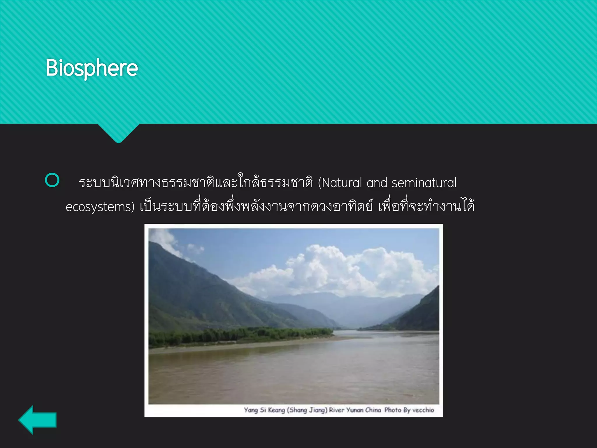 Biosphere
 ระบบนิเวศทางธรรมชาติและใกล้ธรรมชาติ (Natural and seminatural
ecosystems) เป็นระบบที่ต้องพึ่งพลังงานจากดวงอาทิตย์ เพื่อที่จะทางานได้
 