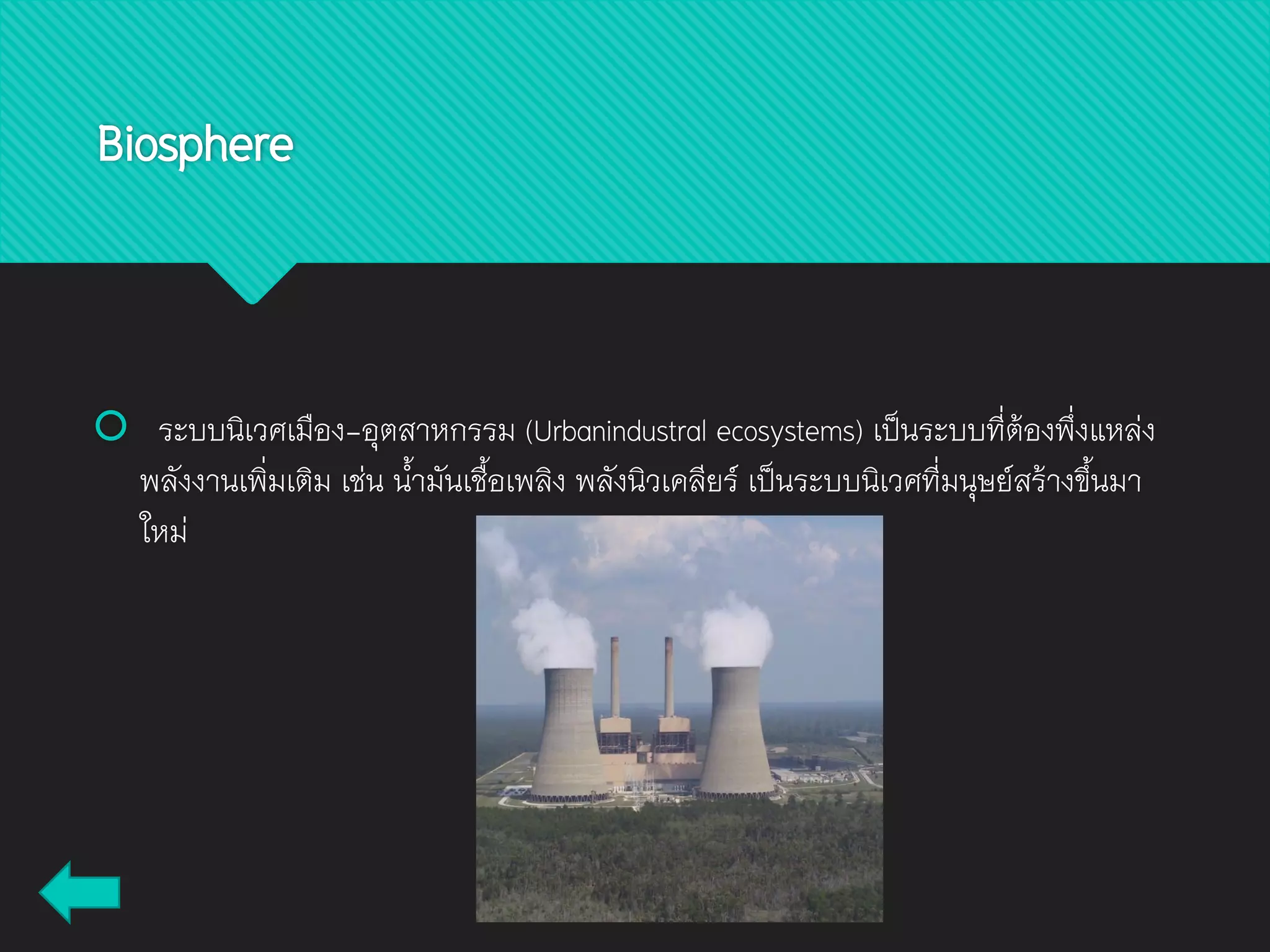 Biosphere
 ระบบนิเวศเมือง-อุตสาหกรรม (Urbanindustral ecosystems) เป็นระบบที่ต้องพึ่งแหล่ง
พลังงานเพิ่มเติม เช่น น้ามันเชื้อเพลิง พลังนิวเคลียร์ เป็นระบบนิเวศที่มนุษย์สร้างขึ้นมา
ใหม่
 
