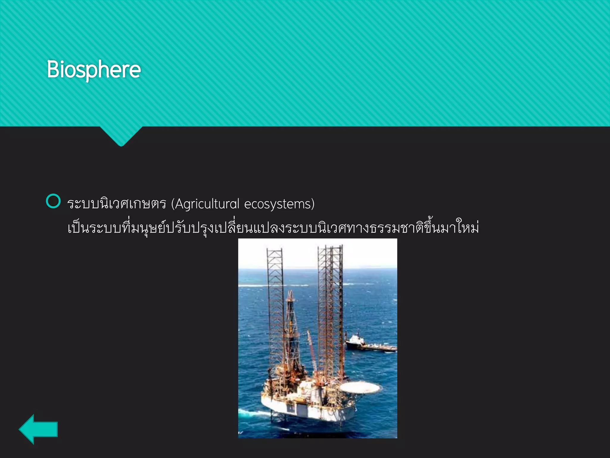  ระบบนิเวศเกษตร (Agricultural ecosystems)
เป็นระบบที่มนุษย์ปรับปรุงเปลี่ยนแปลงระบบนิเวศทางธรรมชาติขึ้นมาใหม่
Biosphere
 