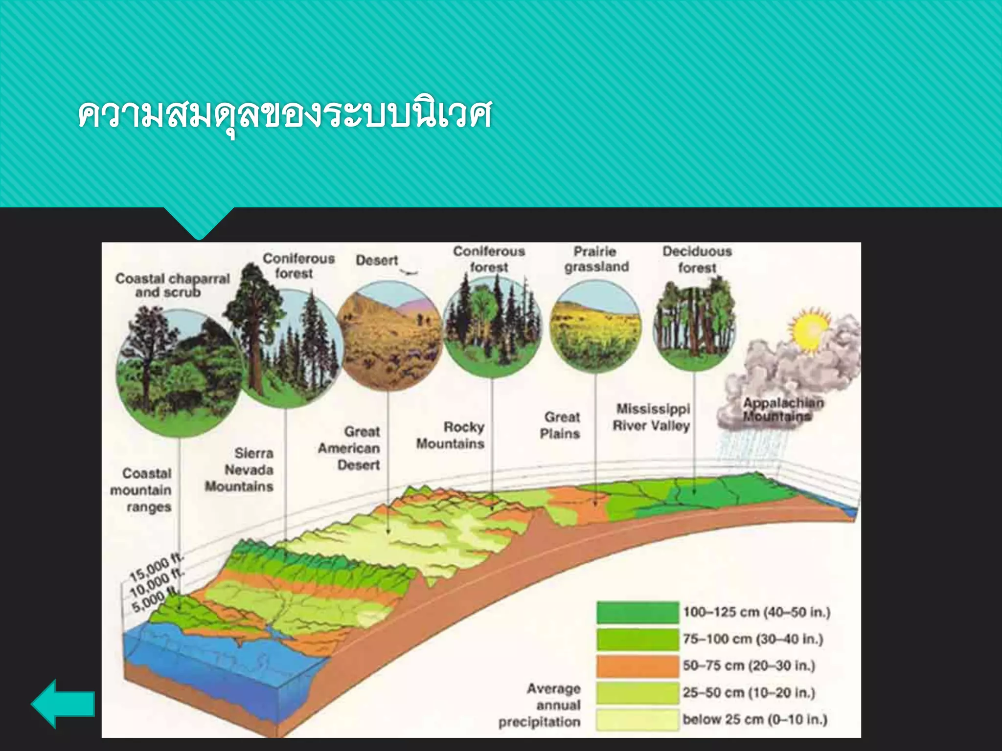 ความสมดุลของระบบนิเวศ
 