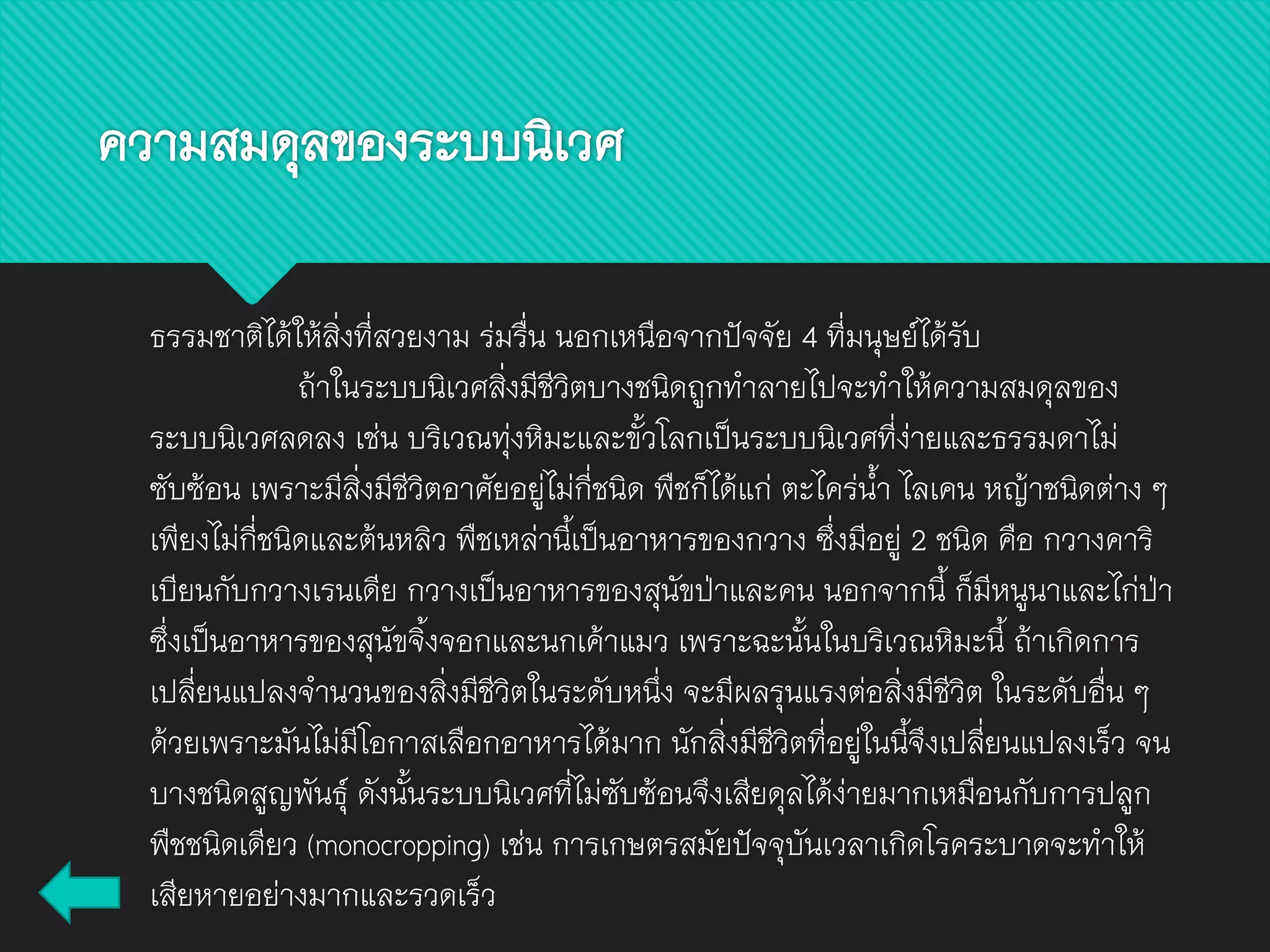 ความสมดุลของระบบนิเวศ
ธรรมชาติได้ให้สิ่งที่สวยงาม ร่มรื่น นอกเหนือจากปัจจัย 4 ที่มนุษย์ได้รับ
ถ้าในระบบนิเวศสิ่งมีชีวิตบางชนิดถูกทาลายไปจะทาให้ความสมดุลของ
ระบบนิเวศลดลง เช่น บริเวณทุ่งหิมะและขั้วโลกเป็นระบบนิเวศที่ง่ายและธรรมดาไม่
ซับซ้อน เพราะมีสิ่งมีชีวิตอาศัยอยู่ไม่กี่ชนิด พืชก็ได้แก่ ตะไคร่น้า ไลเคน หญ้าชนิดต่าง ๆ
เพียงไม่กี่ชนิดและต้นหลิว พืชเหล่านี้เป็นอาหารของกวาง ซึ่งมีอยู่ 2 ชนิด คือ กวางคาริ
เบียนกับกวางเรนเดีย กวางเป็นอาหารของสุนัขป่าและคน นอกจากนี้ ก็มีหนูนาและไก่ป่า
ซึ่งเป็นอาหารของสุนัขจิ้งจอกและนกเค้าแมว เพราะฉะนั้นในบริเวณหิมะนี้ ถ้าเกิดการ
เปลี่ยนแปลงจานวนของสิ่งมีชีวิตในระดับหนึ่ง จะมีผลรุนแรงต่อสิ่งมีชีวิต ในระดับอื่น ๆ
ด้วยเพราะมันไม่มีโอกาสเลือกอาหารได้มาก นักสิ่งมีชีวิตที่อยู่ในนี้จึงเปลี่ยนแปลงเร็ว จน
บางชนิดสูญพันธุ์ ดังนั้นระบบนิเวศที่ไม่ซับซ้อนจึงเสียดุลได้ง่ายมากเหมือนกับการปลูก
พืชชนิดเดียว (monocropping) เช่น การเกษตรสมัยปัจจุบันเวลาเกิดโรคระบาดจะทาให้
เสียหายอย่างมากและรวดเร็ว
 