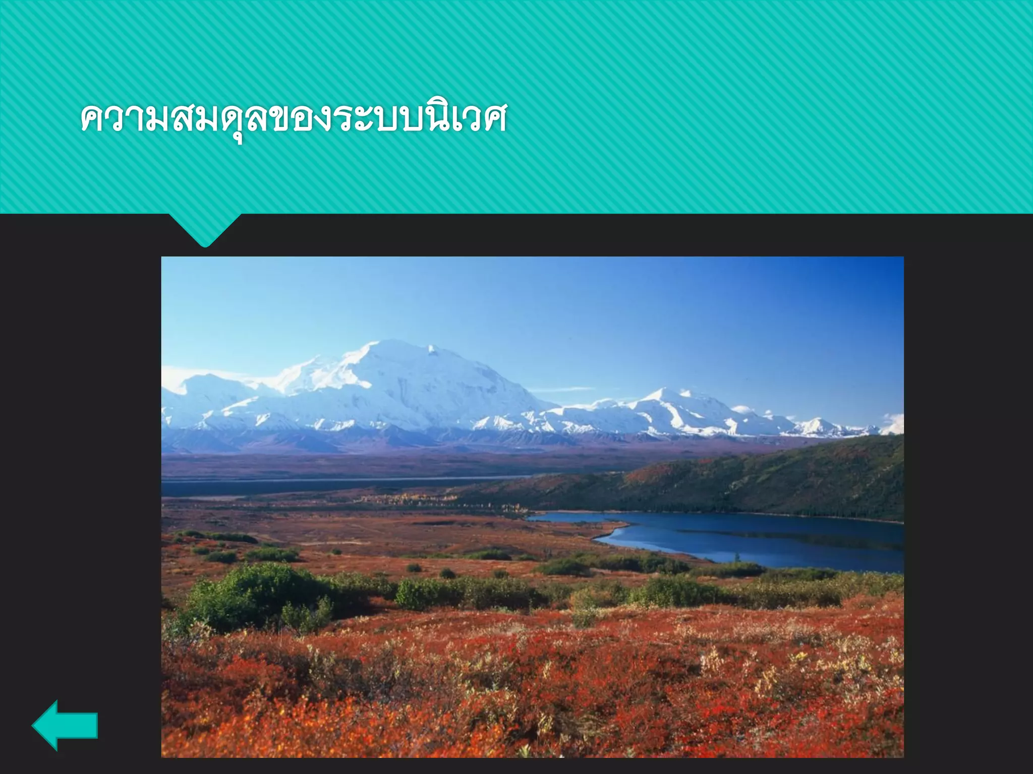 ความสมดุลของระบบนิเวศ
 