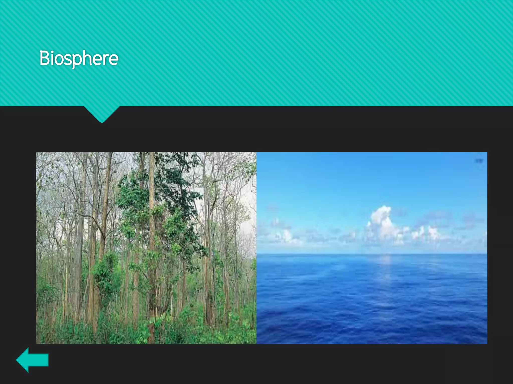 Biosphere
 จาแนกโดยใช้ขนาดพื้นที่ของระบบนิเวศนั้นสามารถแบ่งได้เป็น 2 ขนาด คือ
1) ระบบนิเวศขนาดใหญ่ เช่น ป่าเบญจพรรณ ทะเลสาบ มหาสมุทร ทุ่งหญ้า เป็นต้น
2) ระบบนิเวศขนาดเล็ก เช่น แอ่งน้าในล้อยางรถยนต์เก่า กิ่งไม้ผุในป่า เป็นต้น
 