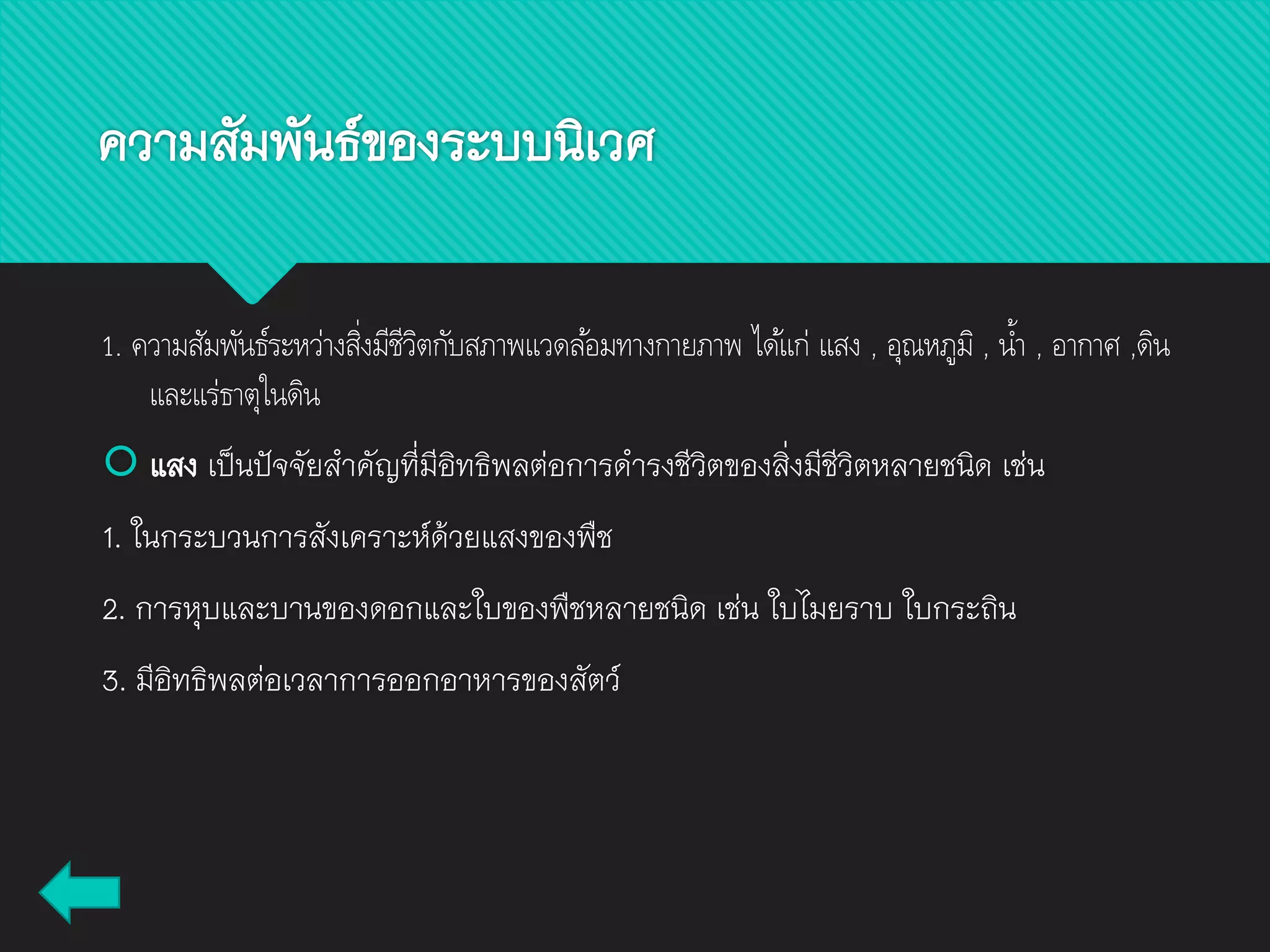 1. ความสัมพันธ์ระหว่างสิ่งมีชีวิตกับสภาพแวดล้อมทางกายภาพ ได้แก่ แสง , อุณหภูมิ , น้า , อากาศ ,ดิน
และแร่ธาตุในดิน
 แสง เป็นปัจจัยสาคัญที่มีอิทธิพลต่อการดารงชีวิตของสิ่งมีชีวิตหลายชนิด เช่น
1. ในกระบวนการสังเคราะห์ด้วยแสงของพืช
2. การหุบและบานของดอกและใบของพืชหลายชนิด เช่น ใบไมยราบ ใบกระถิน
3. มีอิทธิพลต่อเวลาการออกอาหารของสัตว์
ความสัมพันธ์ของระบบนิเวศ
 