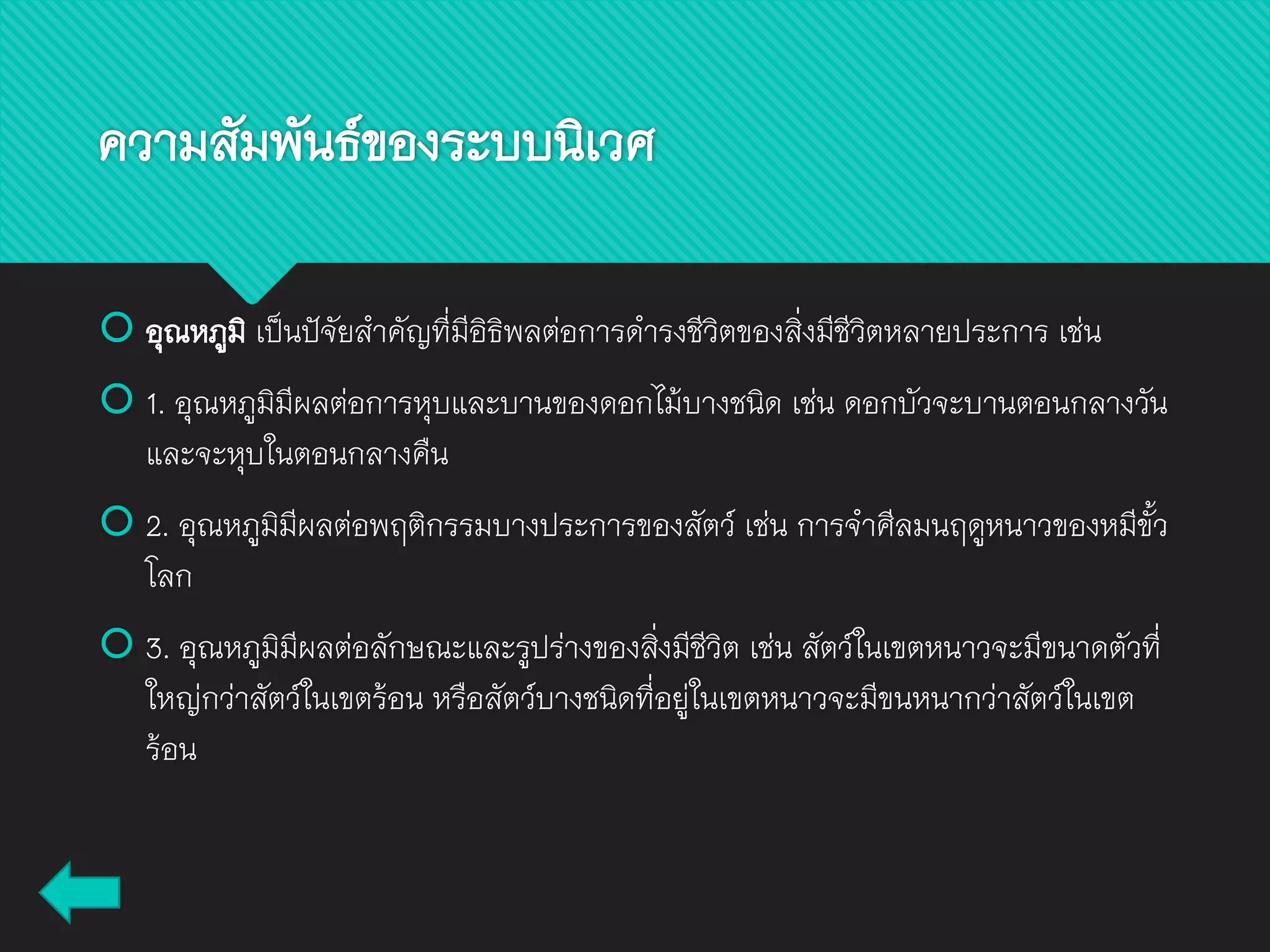  อุณหภูมิ เป็นปัจัยสาคัญที่มีอิธิพลต่อการดารงชีวิตของสิ่งมีชีวิตหลายประการ เช่น
 1. อุณหภูมิมีผลต่อการหุบและบานของดอกไม้บางชนิด เช่น ดอกบัวจะบานตอนกลางวัน
และจะหุบในตอนกลางคืน
 2. อุณหภูมิมีผลต่อพฤติกรรมบางประการของสัตว์ เช่น การจาศีลมนฤดูหนาวของหมีขั้ว
โลก
 3. อุณหภูมิมีผลต่อลักษณะและรูปร่างของสิ่งมีชีวิต เช่น สัตว์ในเขตหนาวจะมีขนาดตัวที่
ใหญ่กว่าสัตว์ในเขตร้อน หรือสัตว์บางชนิดที่อยู่ในเขตหนาวจะมีขนหนากว่าสัตว์ในเขต
ร้อน
ความสัมพันธ์ของระบบนิเวศ
 