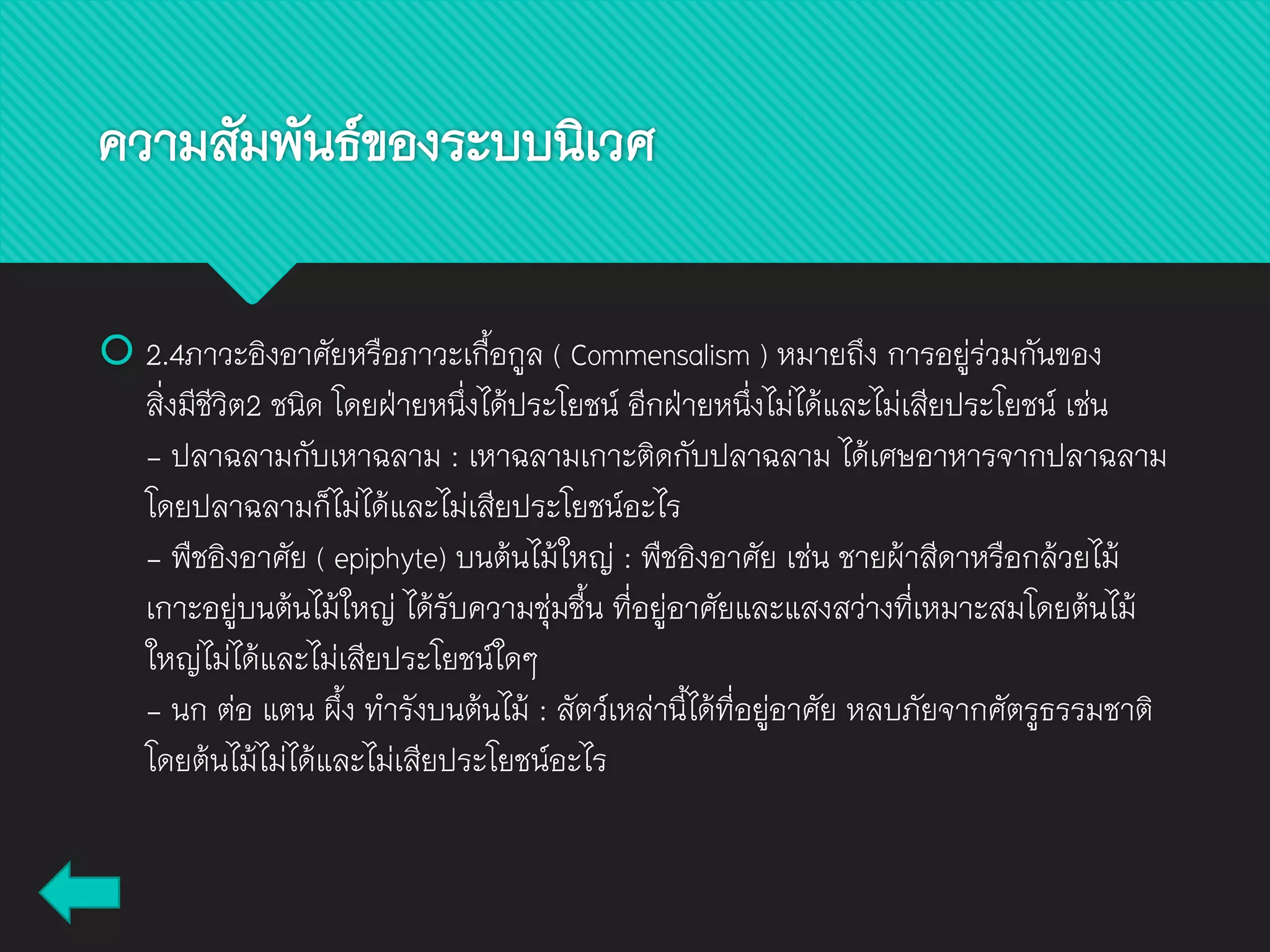  2.4ภาวะอิงอาศัยหรือภาวะเกื้อกูล ( Commensalism ) หมายถึง การอยู่ร่วมกันของ
สิ่งมีชีวิต2 ชนิด โดยฝ่ายหนึ่งได้ประโยชน์ อีกฝ่ายหนึ่งไม่ได้และไม่เสียประโยชน์ เช่น
- ปลาฉลามกับเหาฉลาม : เหาฉลามเกาะติดกับปลาฉลาม ได้เศษอาหารจากปลาฉลาม
โดยปลาฉลามก็ไม่ได้และไม่เสียประโยชน์อะไร
- พืชอิงอาศัย ( epiphyte) บนต้นไม้ใหญ่ : พืชอิงอาศัย เช่น ชายผ้าสีดาหรือกล้วยไม้
เกาะอยู่บนต้นไม้ใหญ่ ได้รับความชุ่มชื้น ที่อยู่อาศัยและแสงสว่างที่เหมาะสมโดยต้นไม้
ใหญ่ไม่ได้และไม่เสียประโยชน์ใดๆ
- นก ต่อ แตน ผึ้ง ทารังบนต้นไม้ : สัตว์เหล่านี้ได้ที่อยู่อาศัย หลบภัยจากศัตรูธรรมชาติ
โดยต้นไม้ไม่ได้และไม่เสียประโยชน์อะไร
ความสัมพันธ์ของระบบนิเวศ
 