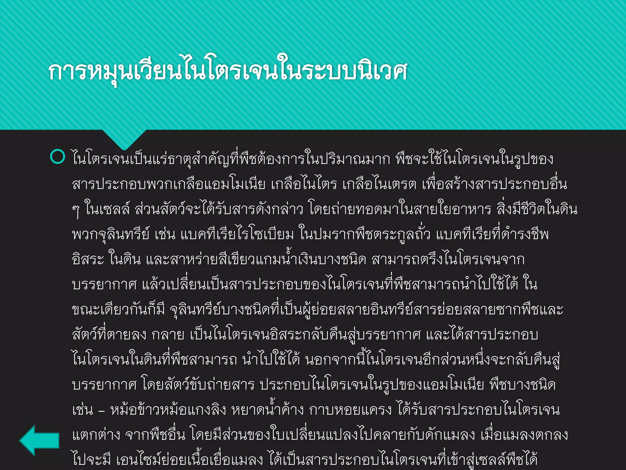  ไนโตรเจนเป็นแร่ธาตุสาคัญที่พืชต้องการในปริมาณมาก พืชจะใช้ไนโตรเจนในรูปของ
สารประกอบพวกเกลือแอมโมเนีย เกลือไนไตร เกลือไนเตรต เพื่อสร้างสารประกอบอื่น
ๆ ในเซลล์ ส่วนสัตว์จะได้รับสารดังกล่าว โดยถ่ายทอดมาในสายใยอาหาร สิ่งมีชีวิตในดิน
พวกจุลินทรีย์ เช่น แบคทีเรียไรโซเบียม ในปมรากพืชตระกูลถั่ว แบคทีเรียที่ดารงชีพ
อิสระ ในดิน และสาหร่ายสีเขียวแกมน้าเงินบางชนิด สามารถตรึงไนโตรเจนจาก
บรรยากาศ แล้วเปลี่ยนเป็นสารประกอบของไนโตรเจนที่พืชสามารถนาไปใช้ได้ ใน
ขณะเดียวกันก็มี จุลินทรีย์บางชนิดที่เป็นผู้ย่อยสลายอินทรีย์สารย่อยสลายซากพืชและ
สัตว์ที่ตายลง กลาย เป็นไนโตรเจนอิสระกลับคืนสู่บรรยากาศ และได้สารประกอบ
ไนโตรเจนในดินที่พืชสามารถ นาไปใช้ได้ นอกจากนี้ไนโตรเจนอีกส่วนหนึ่งจะกลับคืนสู่
บรรยากาศ โดยสัตว์ขับถ่ายสาร ประกอบไนโตรเจนในรูปของแอมโมเนีย พืชบางชนิด
เช่น - หม้อข้าวหม้อแกงลิง หยาดน้าค้าง กาบหอยแครง ได้รับสารประกอบไนโตรเจน
แตกต่าง จากพืชอื่น โดยมีส่วนของใบเปลี่ยนแปลงไปคลายกับดักแมลง เมื่อแมลงตกลง
ไปจะมี เอนไซม์ย่อยเนื้อเยื่อแมลง ได้เป็นสารประกอบไนโตรเจนที่เข้าสู่เซลล์พืชได้
การหมุนเวียนไนโตรเจนในระบบนิเวศ
 