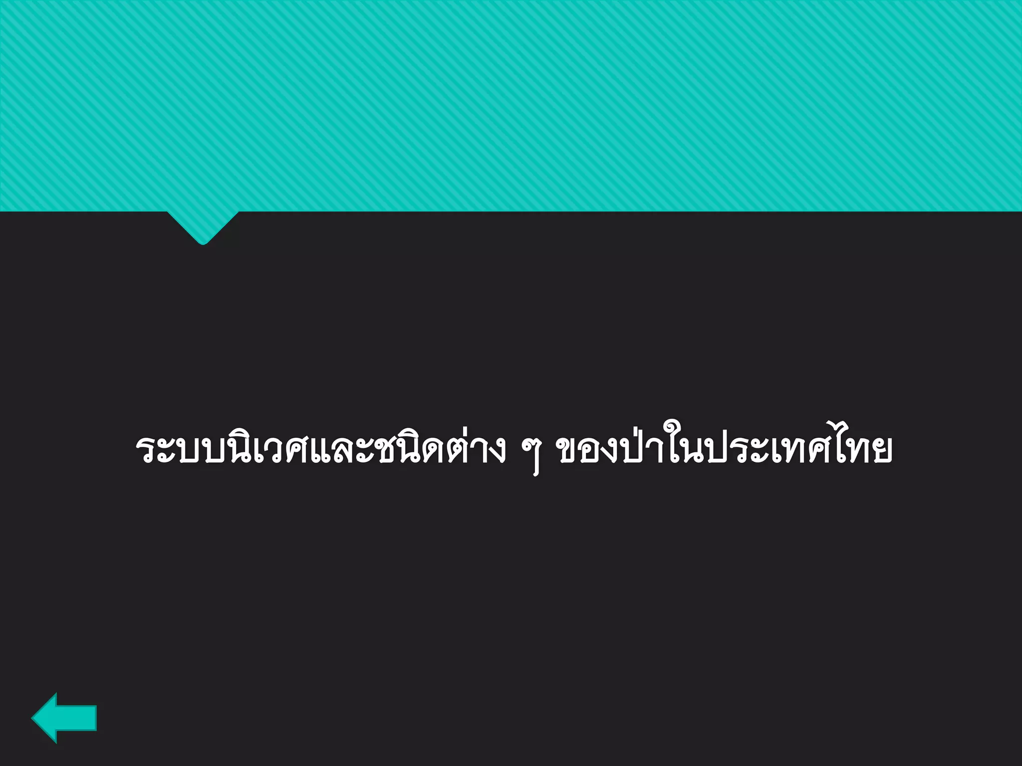 ระบบนิเวศและชนิดต่าง ๆ ของป่าในประเทศไทย
 