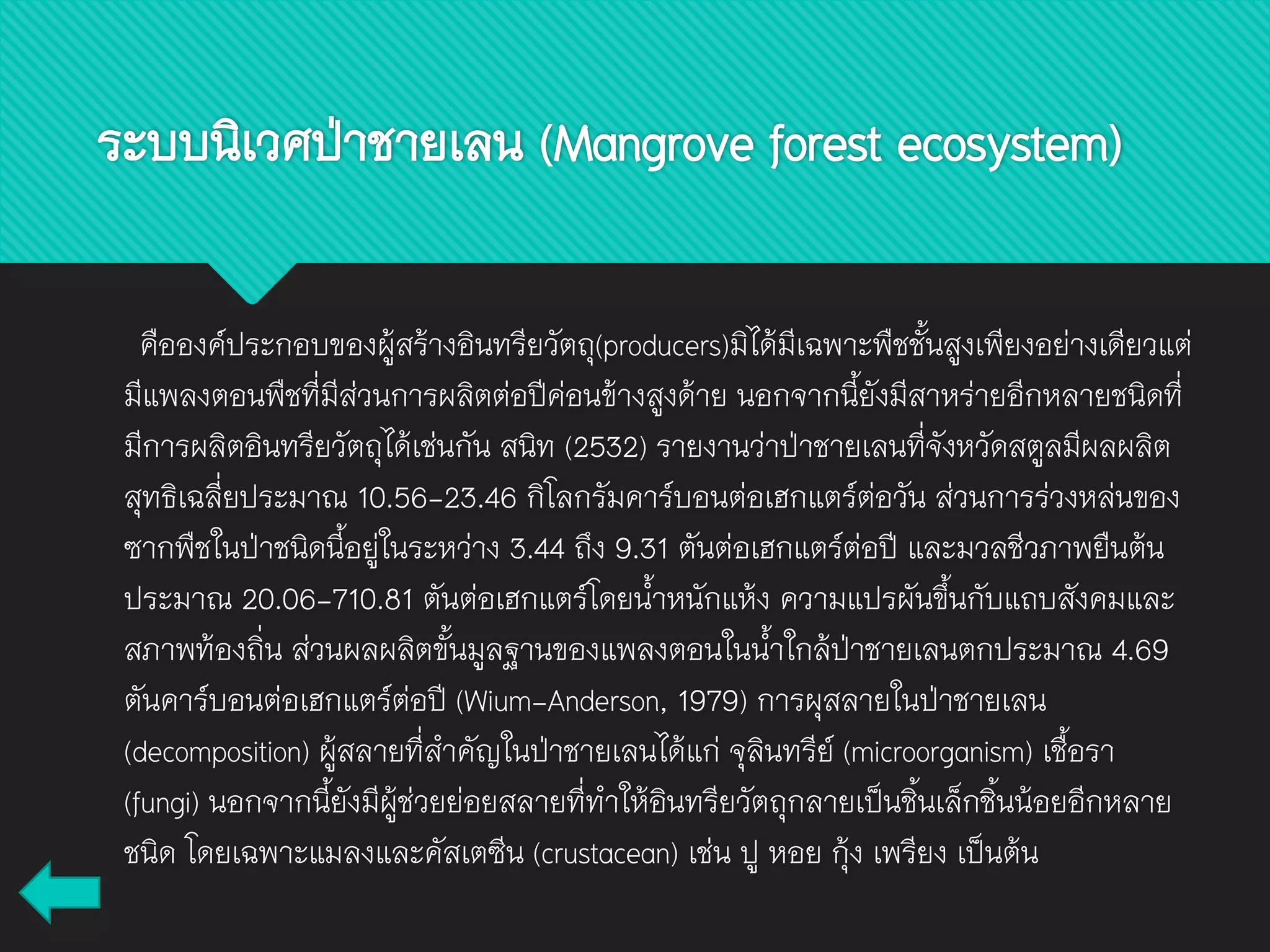 คือองค์ประกอบของผู้สร้างอินทรียวัตถุ(producers)มิได้มีเฉพาะพืชชั้นสูงเพียงอย่างเดียวแต่
มีแพลงตอนพืชที่มีส่วนการผลิตต่อปีค่อนข้างสูงด้าย นอกจากนี้ยังมีสาหร่ายอีกหลายชนิดที่
มีการผลิตอินทรียวัตถุได้เช่นกัน สนิท (2532) รายงานว่าป่าชายเลนที่จังหวัดสตูลมีผลผลิต
สุทธิเฉลี่ยประมาณ 10.56-23.46 กิโลกรัมคาร์บอนต่อเฮกแตร์ต่อวัน ส่วนการร่วงหล่นของ
ซากพืชในป่าชนิดนี้อยู่ในระหว่าง 3.44 ถึง 9.31 ตันต่อเฮกแตร์ต่อปี และมวลชีวภาพยืนต้น
ประมาณ 20.06-710.81 ตันต่อเฮกแตร์โดยน้าหนักแห้ง ความแปรผันขึ้นกับแถบสังคมและ
สภาพท้องถิ่น ส่วนผลผลิตขั้นมูลฐานของแพลงตอนในน้าใกล้ป่าชายเลนตกประมาณ 4.69
ตันคาร์บอนต่อเฮกแตร์ต่อปี (Wium-Anderson, 1979) การผุสลายในป่าชายเลน
(decomposition) ผู้สลายที่สาคัญในป่าชายเลนได้แก่ จุลินทรีย์ (microorganism) เชื้อรา
(fungi) นอกจากนี้ยังมีผู้ช่วยย่อยสลายที่ทาให้อินทรียวัตถุกลายเป็นชิ้นเล็กชิ้นน้อยอีกหลาย
ชนิด โดยเฉพาะแมลงและคัสเตซีน (crustacean) เช่น ปู หอย กุ้ง เพรียง เป็นต้น
ระบบนิเวศป่าชายเลน (Mangrove forest ecosystem)
 