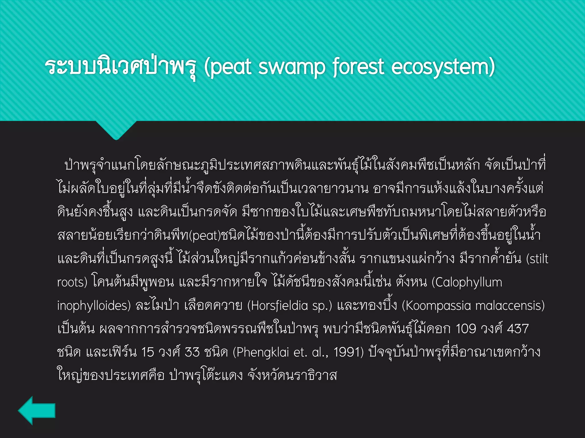 ระบบนิเวศป่าพรุ (peat swamp forest ecosystem)
ป่าพรุจาแนกโดยลักษณะภูมิประเทศสภาพดินและพันธุ์ไม้ในสังคมพืชเป็นหลัก จัดเป็นป่าที่
ไม่ผลัดใบอยู่ในที่ลุ่มที่มีน้าจืดขังติดต่อกันเป็นเวลายาวนาน อาจมีการแห้งแล้งในบางครั้งแต่
ดินยังคงชื้นสูง และดินเป็นกรดจัด มีซากของใบไม้และเศษพืชทับถมหนาโดยไม่สลายตัวหรือ
สลายน้อยเรียกว่าดินพีท(peat)ชนิดไม้ของป่านี้ต้องมีการปรับตัวเป็นพิเศษที่ต้องขึ้นอยู่ในน้า
และดินที่เป็นกรดสูงนี้ ไม้ส่วนใหญ่มีรากแก้วค่อนข้างสั้น รากแขนงแผ่กว้าง มีรากค้ายัน (stilt
roots) โคนต้นมีพูพอน และมีรากหายใจ ไม้ดัชนีของสังคมนี้เช่น ตังหน (Calophyllum
inophylloides) ละไมป่า เลือดควาย (Horsfieldia sp.) และทองบึ้ง (Koompassia malaccensis)
เป็นต้น ผลจากการสารวจชนิดพรรณพืชในป่าพรุ พบว่ามีชนิดพันธุ์ไม้ดอก 109 วงศ์ 437
ชนิด และเฟิร์น 15 วงศ์ 33 ชนิด (Phengklai et. al., 1991) ปัจจุบันป่าพรุที่มีอาณาเขตกว้าง
ใหญ่ของประเทศคือ ป่าพรุโต๊ะแดง จังหวัดนราธิวาส
 