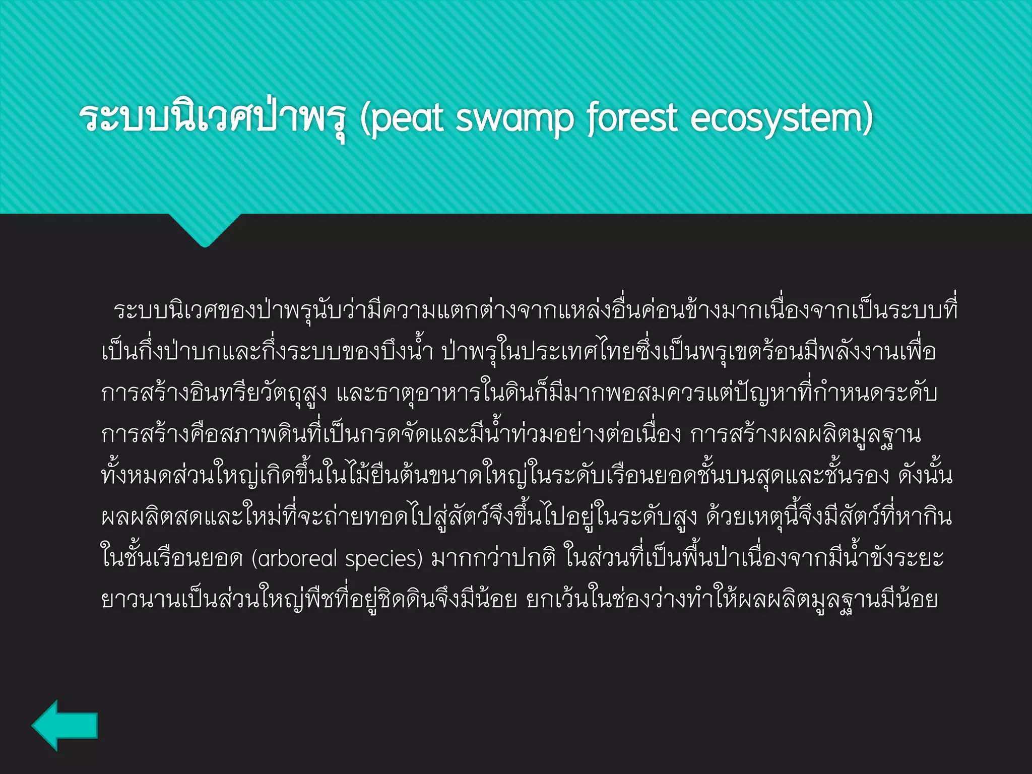 ระบบนิเวศของป่าพรุนับว่ามีความแตกต่างจากแหล่งอื่นค่อนข้างมากเนื่องจากเป็นระบบที่
เป็นกึ่งป่าบกและกึ่งระบบของบึงน้า ป่าพรุในประเทศไทยซึ่งเป็นพรุเขตร้อนมีพลังงานเพื่อ
การสร้างอินทรียวัตถุสูง และธาตุอาหารในดินก็มีมากพอสมควรแต่ปัญหาที่กาหนดระดับ
การสร้างคือสภาพดินที่เป็นกรดจัดและมีน้าท่วมอย่างต่อเนื่อง การสร้างผลผลิตมูลฐาน
ทั้งหมดส่วนใหญ่เกิดขึ้นในไม้ยืนต้นขนาดใหญ่ในระดับเรือนยอดชั้นบนสุดและชั้นรอง ดังนั้น
ผลผลิตสดและใหม่ที่จะถ่ายทอดไปสู่สัตว์จึงขึ้นไปอยู่ในระดับสูง ด้วยเหตุนี้จึงมีสัตว์ที่หากิน
ในชั้นเรือนยอด (arboreal species) มากกว่าปกติ ในส่วนที่เป็นพื้นป่าเนื่องจากมีน้าขังระยะ
ยาวนานเป็นส่วนใหญ่พืชที่อยู่ชิดดินจึงมีน้อย ยกเว้นในช่องว่างทาให้ผลผลิตมูลฐานมีน้อย
ระบบนิเวศป่าพรุ (peat swamp forest ecosystem)
 