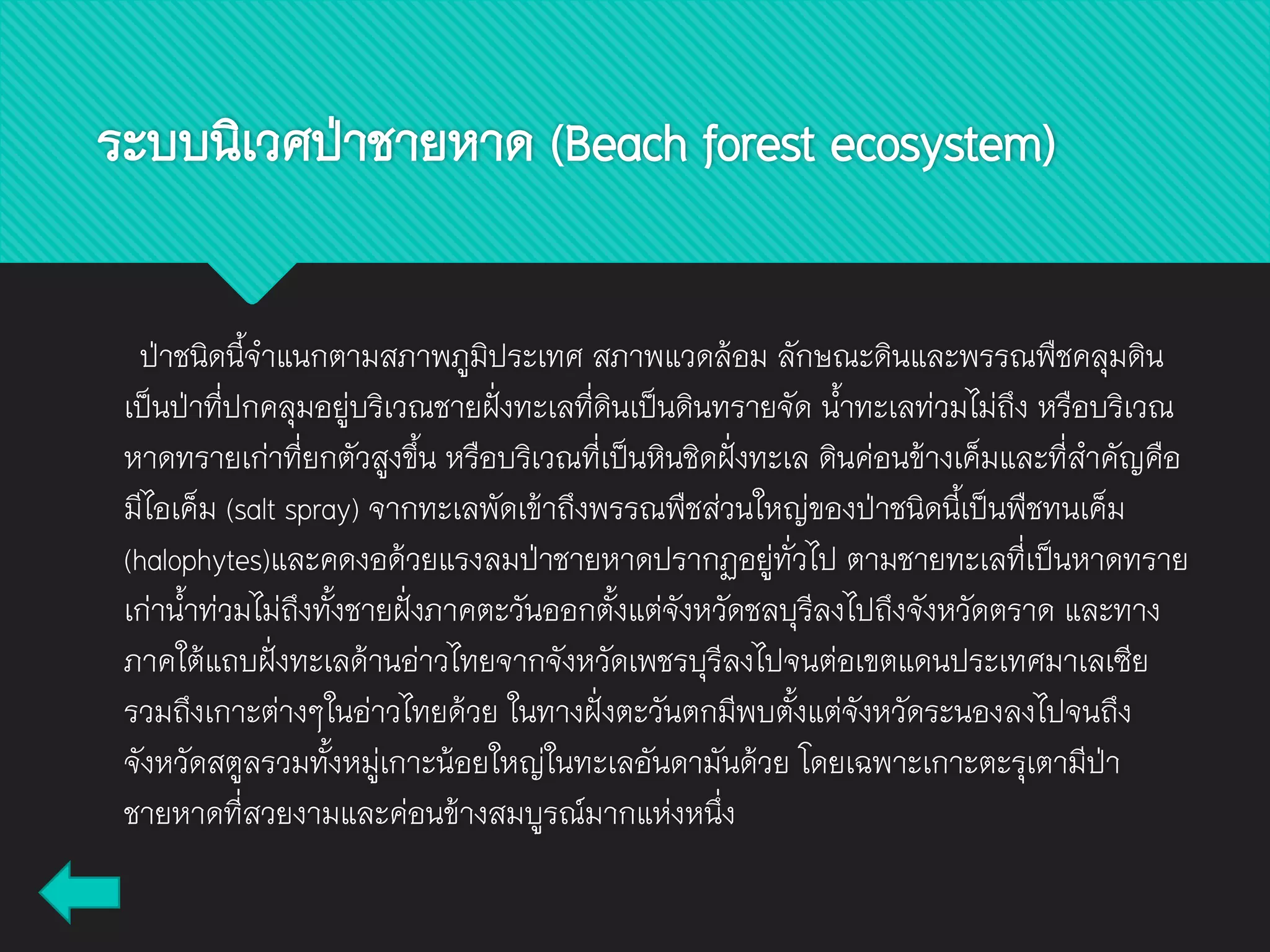 ระบบนิเวศป่าชายหาด (Beach forest ecosystem)
ป่าชนิดนี้จาแนกตามสภาพภูมิประเทศ สภาพแวดล้อม ลักษณะดินและพรรณพืชคลุมดิน
เป็นป่าที่ปกคลุมอยู่บริเวณชายฝั่งทะเลที่ดินเป็นดินทรายจัด น้าทะเลท่วมไม่ถึง หรือบริเวณ
หาดทรายเก่าที่ยกตัวสูงขึ้น หรือบริเวณที่เป็นหินชิดฝั่งทะเล ดินค่อนข้างเค็มและที่สาคัญคือ
มีไอเค็ม (salt spray) จากทะเลพัดเข้าถึงพรรณพืชส่วนใหญ่ของป่าชนิดนี้เป็นพืชทนเค็ม
(halophytes)และคดงอด้วยแรงลมป่าชายหาดปรากฏอยู่ทั่วไป ตามชายทะเลที่เป็นหาดทราย
เก่าน้าท่วมไม่ถึงทั้งชายฝั่งภาคตะวันออกตั้งแต่จังหวัดชลบุรีลงไปถึงจังหวัดตราด และทาง
ภาคใต้แถบฝั่งทะเลด้านอ่าวไทยจากจังหวัดเพชรบุรีลงไปจนต่อเขตแดนประเทศมาเลเซีย
รวมถึงเกาะต่างๆในอ่าวไทยด้วย ในทางฝั่งตะวันตกมีพบตั้งแต่จังหวัดระนองลงไปจนถึง
จังหวัดสตูลรวมทั้งหมู่เกาะน้อยใหญ่ในทะเลอันดามันด้วย โดยเฉพาะเกาะตะรุเตามีป่า
ชายหาดที่สวยงามและค่อนข้างสมบูรณ์มากแห่งหนึ่ง
 