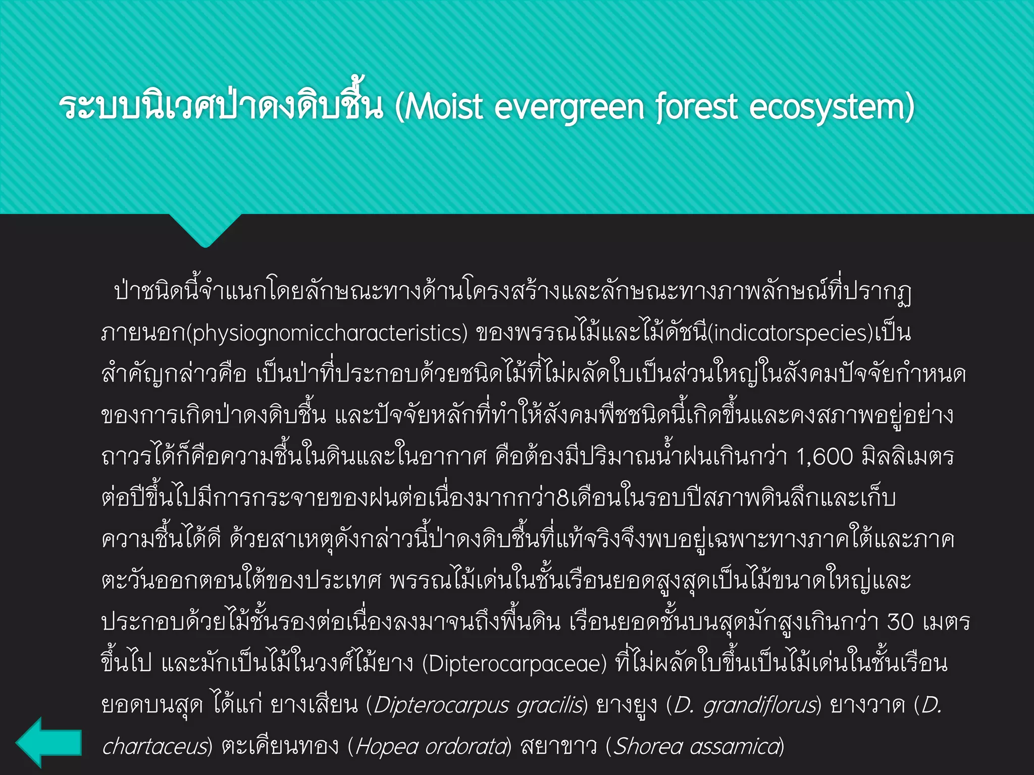 ระบบนิเวศป่าดงดิบชื้น (Moist evergreen forest ecosystem)
ป่าชนิดนี้จาแนกโดยลักษณะทางด้านโครงสร้างและลักษณะทางภาพลักษณ์ที่ปรากฏ
ภายนอก(physiognomiccharacteristics) ของพรรณไม้และไม้ดัชนี(indicatorspecies)เป็น
สาคัญกล่าวคือ เป็นป่าที่ประกอบด้วยชนิดไม้ที่ไม่ผลัดใบเป็นส่วนใหญ่ในสังคมปัจจัยกาหนด
ของการเกิดป่าดงดิบชื้น และปัจจัยหลักที่ทาให้สังคมพืชชนิดนี้เกิดขึ้นและคงสภาพอยู่อย่าง
ถาวรได้ก็คือความชื้นในดินและในอากาศ คือต้องมีปริมาณน้าฝนเกินกว่า 1,600 มิลลิเมตร
ต่อปีขึ้นไปมีการกระจายของฝนต่อเนื่องมากกว่า8เดือนในรอบปีสภาพดินลึกและเก็บ
ความชื้นได้ดี ด้วยสาเหตุดังกล่าวนี้ป่าดงดิบชื้นที่แท้จริงจึงพบอยู่เฉพาะทางภาคใต้และภาค
ตะวันออกตอนใต้ของประเทศ พรรณไม้เด่นในชั้นเรือนยอดสูงสุดเป็นไม้ขนาดใหญ่และ
ประกอบด้วยไม้ชั้นรองต่อเนื่องลงมาจนถึงพื้นดิน เรือนยอดชั้นบนสุดมักสูงเกินกว่า 30 เมตร
ขึ้นไป และมักเป็นไม้ในวงศ์ไม้ยาง (Dipterocarpaceae) ที่ไม่ผลัดใบขึ้นเป็นไม้เด่นในชั้นเรือน
ยอดบนสุด ได้แก่ ยางเสียน (Dipterocarpus gracilis) ยางยูง (D. grandiflorus) ยางวาด (D.
chartaceus) ตะเคียนทอง (Hopea ordorata) สยาขาว (Shorea assamica)
 