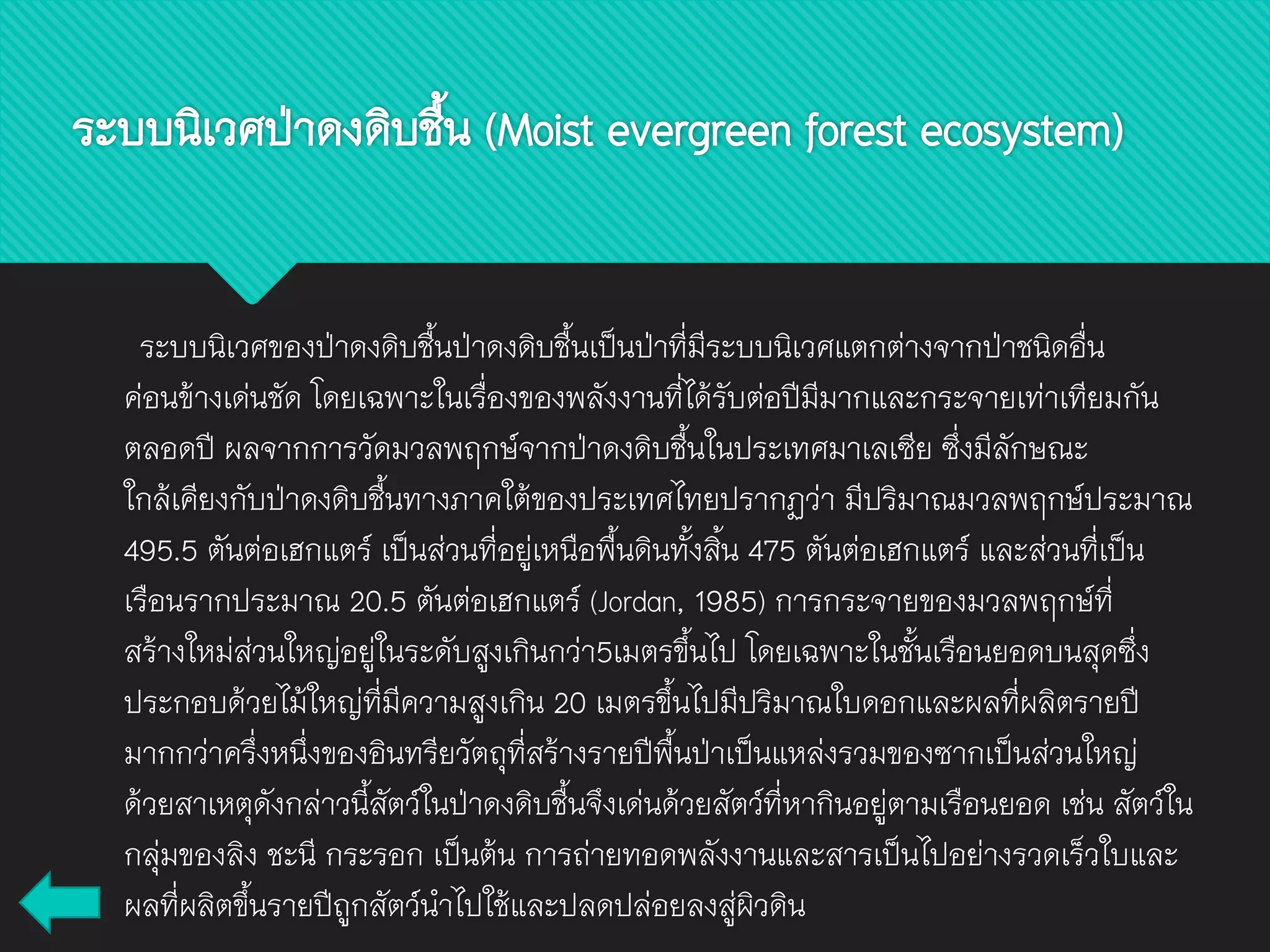 ระบบนิเวศของป่าดงดิบชื้นป่าดงดิบชื้นเป็นป่าที่มีระบบนิเวศแตกต่างจากป่าชนิดอื่น
ค่อนข้างเด่นชัด โดยเฉพาะในเรื่องของพลังงานที่ได้รับต่อปีมีมากและกระจายเท่าเทียมกัน
ตลอดปี ผลจากการวัดมวลพฤกษ์จากป่าดงดิบชื้นในประเทศมาเลเซีย ซึ่งมีลักษณะ
ใกล้เคียงกับป่าดงดิบชื้นทางภาคใต้ของประเทศไทยปรากฏว่า มีปริมาณมวลพฤกษ์ประมาณ
495.5 ตันต่อเฮกแตร์ เป็นส่วนที่อยู่เหนือพื้นดินทั้งสิ้น 475 ตันต่อเฮกแตร์ และส่วนที่เป็น
เรือนรากประมาณ 20.5 ตันต่อเฮกแตร์ (Jordan, 1985) การกระจายของมวลพฤกษ์ที่
สร้างใหม่ส่วนใหญ่อยู่ในระดับสูงเกินกว่า5เมตรขึ้นไป โดยเฉพาะในชั้นเรือนยอดบนสุดซึ่ง
ประกอบด้วยไม้ใหญ่ที่มีความสูงเกิน 20 เมตรขึ้นไปมีปริมาณใบดอกและผลที่ผลิตรายปี
มากกว่าครึ่งหนึ่งของอินทรียวัตถุที่สร้างรายปีพื้นป่าเป็นแหล่งรวมของซากเป็นส่วนใหญ่
ด้วยสาเหตุดังกล่าวนี้สัตว์ในป่าดงดิบชื้นจึงเด่นด้วยสัตว์ที่หากินอยู่ตามเรือนยอด เช่น สัตว์ใน
กลุ่มของลิง ชะนี กระรอก เป็นต้น การถ่ายทอดพลังงานและสารเป็นไปอย่างรวดเร็วใบและ
ผลที่ผลิตขึ้นรายปีถูกสัตว์นาไปใช้และปลดปล่อยลงสู่ผิวดิน
ระบบนิเวศป่าดงดิบชื้น (Moist evergreen forest ecosystem)
 