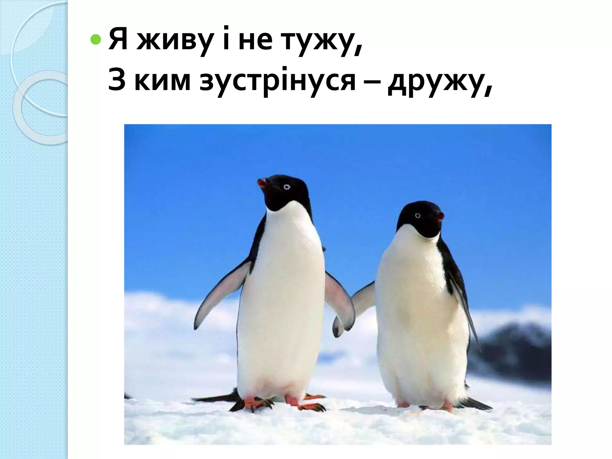 Я живу і не тужу,
З ким зустрінуся – дружу,
 