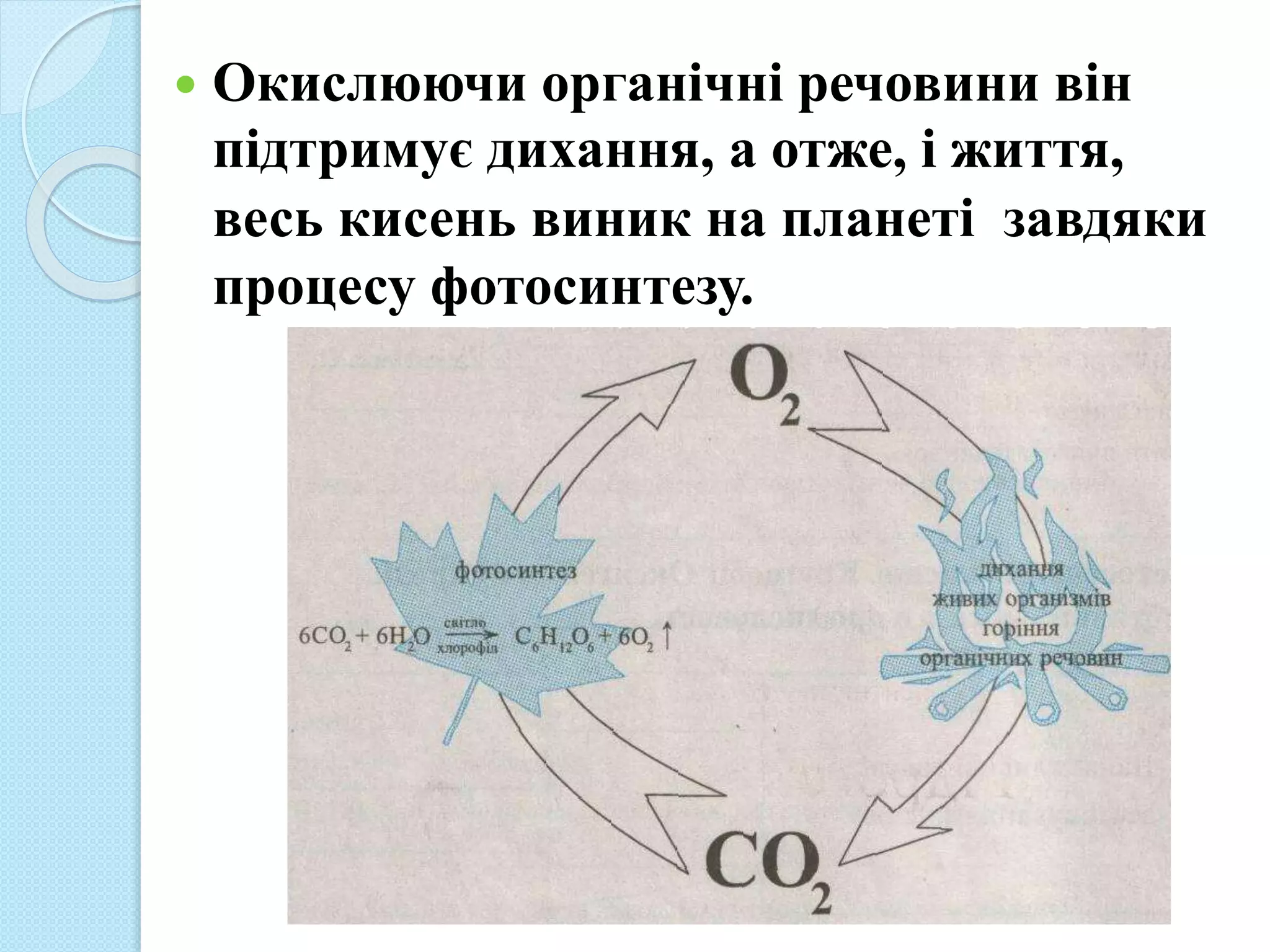  Окислюючи органічні речовини він
підтримує дихання, а отже, і життя,
весь кисень виник на планеті завдяки
процесу фотосинтезу.
 