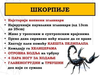ШКОРПИЈЕ
• Најстарији копнени зглавкари
• Најкрупнији пауколики зглавкари (од 13cm
до 25cm)
• Живе у тропским и суптропским крајевима
• Преко дана скривене ноћу излазе да се хране
• Хватају плен помоћу КЛЕШТА ПЕДИПАЛПА
• Комадају га ХЕЛИЦЕРАМА
• ОТРОВНА БОДЉА на трбуху
• 4 ПАРА НОГУ ЗА ХОДАЊЕ
• ГЛАВЕНОГРУДНИ и ТРБУШНИ
део који се сужава
 