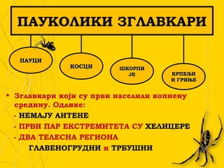 ПАУКОЛИКИ ЗГЛАВКАРИ
• Зглавкари који су први населили копнену
средину. Одлике:
- НЕМАЈУ АНТЕНЕ
- ПРВИ ПАР ЕКСТРЕМИТЕТА СУ ХЕЛИЦЕРЕ
- ДВА ТЕЛЕСНА РЕГИОНА
ГЛАВЕНОГРУДНИ и ТРБУШНИ
ПАУЦИПАУЦИ
КОСЦИКОСЦИ ШКОРПИШКОРПИ
ЈЕЈЕ КРПЕЉИКРПЕЉИ
И ГРИЊЕИ ГРИЊЕ
 