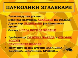 • Главеногрудни регион:
- Први пар наставака ХЕЛИЦЕРЕ (за убадање)
- Други пар ПЕДИПАЛПИ (за приношење
хране)
- Остала 4 ПАРА НОГЕ ЗА ХОДАЊЕ
• Грабљивице (ОТРОВНЕ ЖЛЕЗДЕ и ОТРОВНЕ
БОДЉЕ)
• ПАУЧИНАСТЕ ЖЛЕЗДЕ
• Могу бити веома штетни ПАУК ЦРНА
УДОВИЦА, ШКОРПИЈЕ, КРПЕЉИ...
ПАУКОЛИКИ ЗГЛАВКАРИ
 