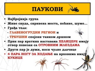 • Најбројнија група
• Живе свуда, скривена места, пећине, шуме...
• Грађа тела:
- ГЛАВЕНОГРУДНИ РЕГИОН и
- ТРБУШНИ спојени танком дршком
• Први пар кратких наставака ХЕЛИЦЕРЕ имају
отвор повезан са ОТРОВНИМ ЖЛЕЗДАМА
• Други пар је дужи, носи чулне длачице
• 4 ПАРА НОГУ ЗА ХОДАЊЕ на врховима имају
КУКИЦЕ
ПАУКОВИ
 