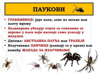 • ГРАБЉИВИЦЕ: јуре плен, лове из заседе или
плету мрежу
• Хелицерама убацују отров са соковима за
варење у плен који касније само усисају у
желудац
• Дисање: ЛИСТОЛИКА ПЛУЋА или ТРАХЕЈЕ
• Излучивање ЦЕВЧИЦЕ (уливају се у црево) или
помоћу ЖЛЕЗДА ЗА ИЗЛУЧИВАЊЕ
ПАУКОВИ
 