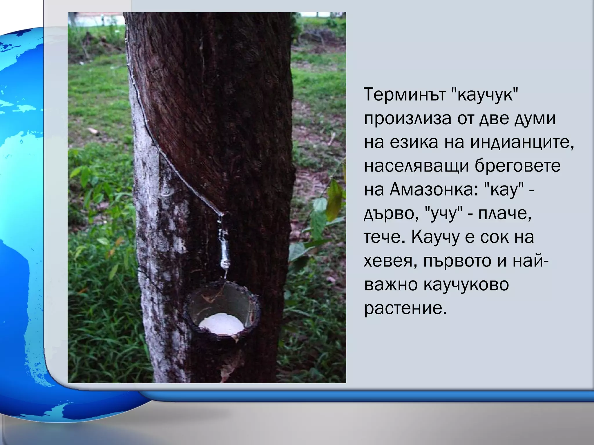 природни зони в южна америка - подобрен вариант | PPT