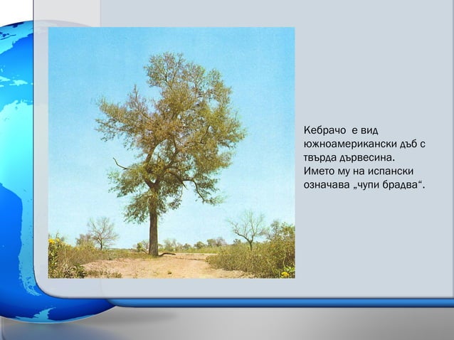 природни зони в южна америка - подобрен вариант | PPT
