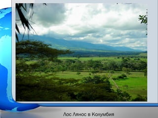 Лос Лянос в Колумбия
 