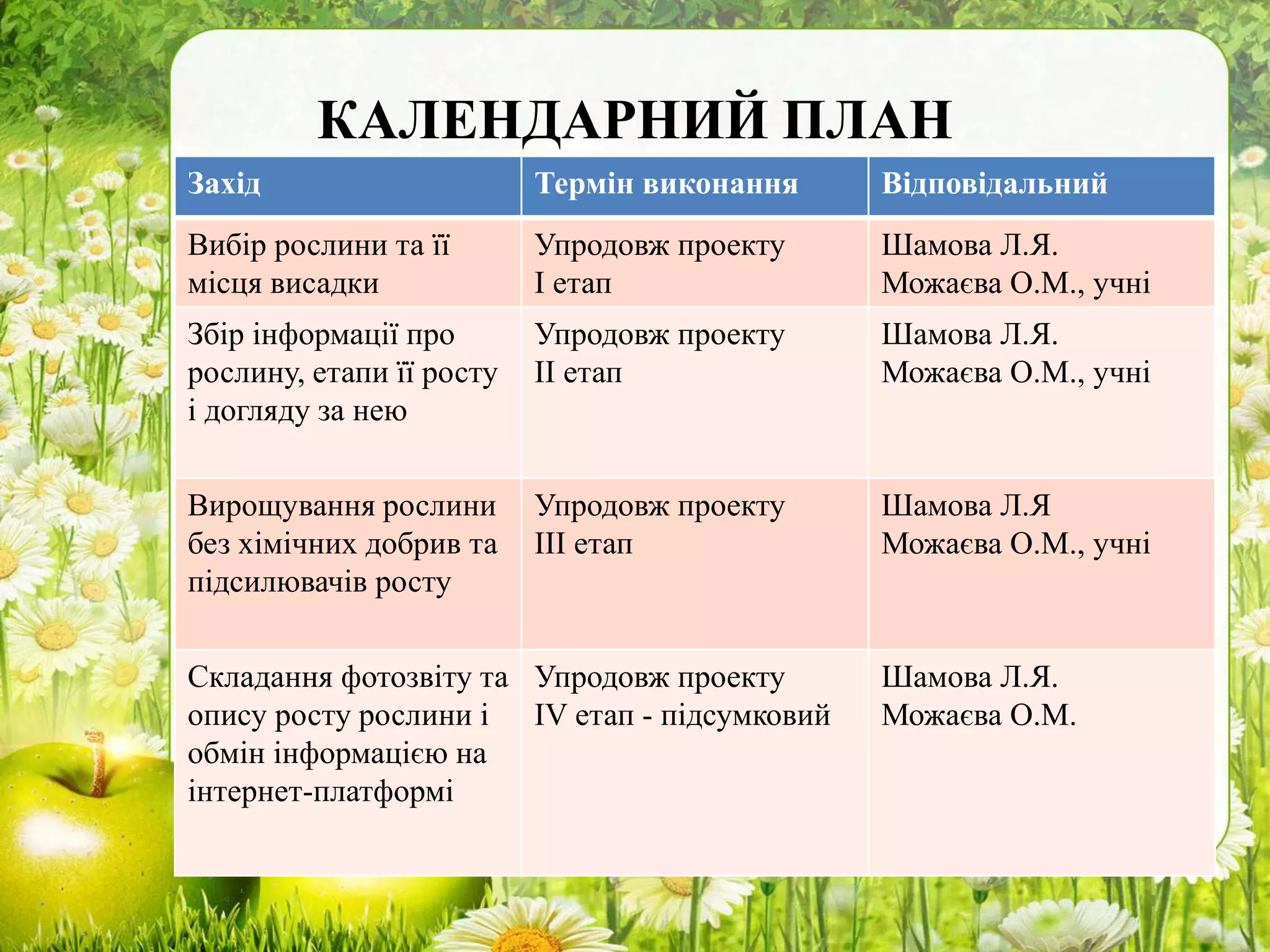 КАЛЕНДАРНИЙ ПЛАН
Захід Термін виконання Відповідальний
Вибір рослини та її
місця висадки
Упродовж проекту
І етап
Шамова Л.Я.
Можаєва О.М., учні
Збір інформації про
рослину, етапи її росту
і догляду за нею
Упродовж проекту
ІІ етап
Шамова Л.Я.
Можаєва О.М., учні
Вирощування рослини
без хімічних добрив та
підсилювачів росту
Упродовж проекту
ІІІ етап
Шамова Л.Я
Можаєва О.М., учні
Складання фотозвіту та
опису росту рослини і
обмін інформацією на
інтернет-платформі
Упродовж проекту
ІV етап - підсумковий
Шамова Л.Я.
Можаєва О.М.
 