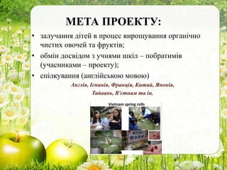 МЕТА ПРОЕКТУ:
• залучання дітей в процес вирощування органічно
чистих овочей та фруктів;
• обмін досвідом з учнями шкіл – побратимів
(учасниками – проекту);
• спілкування (англійською мовою)
Англія, Іспанія, Франція, Китай, Японія,
Тайвань, В'єтнам та ін.
 