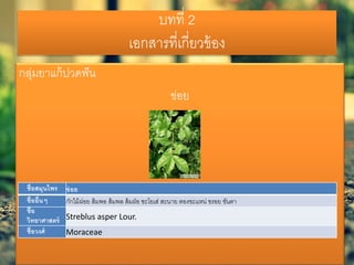 บทที่ 2
เอกสารที่เกี่ยวข้อง
กลุ่มยาแก้ปวดฟัน
ข่อย
ชื่อสมุนไพร ข่อย
ชื่ออื่นๆ กักไม้ฝอย ส้มพอ ส้มพล ส้มฝ่อ ซะโยเส่ สะนาย ตองขะแหน่ ขรอย ขันตา
ชื่อ
วิทยาศาสตร์ Streblus asper Lour.
ชื่อวงศ์ Moraceae
 