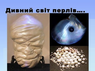 Дивний світ перлів….Дивний світ перлів….
 